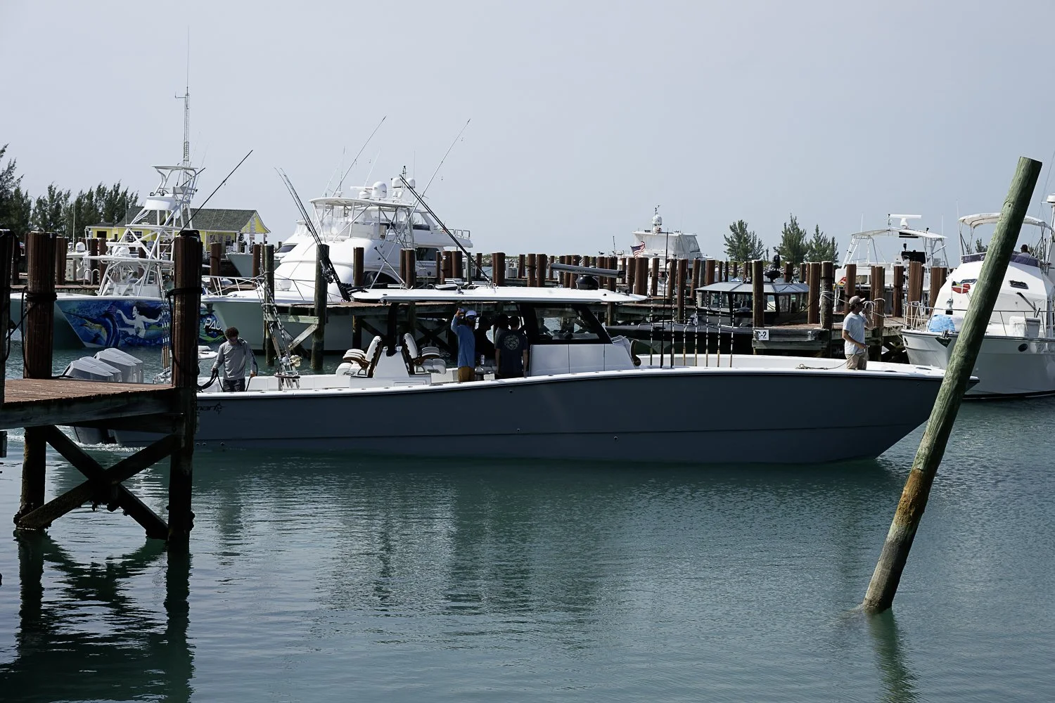 CC8_7429.jpg