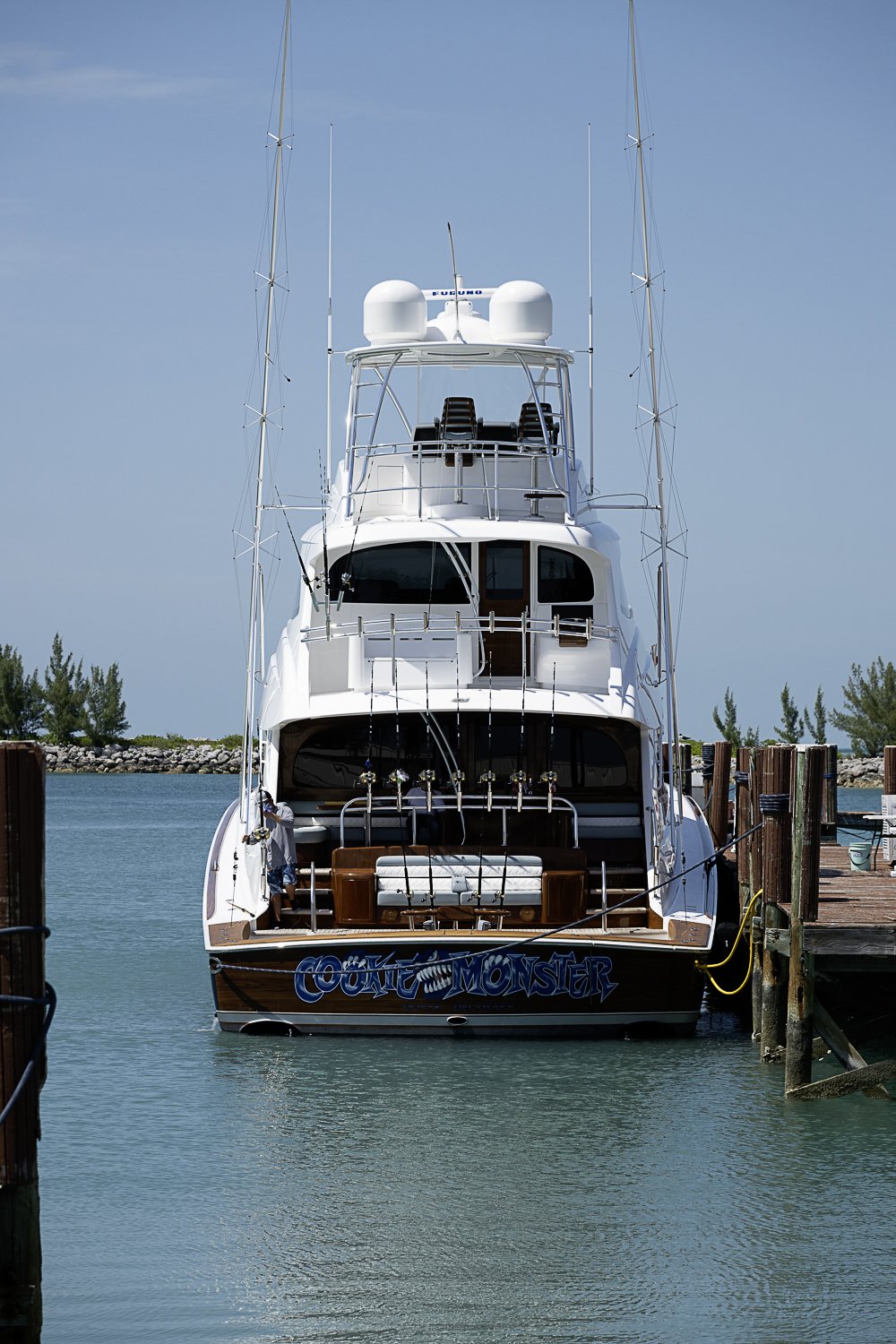 CC8_7251.jpg