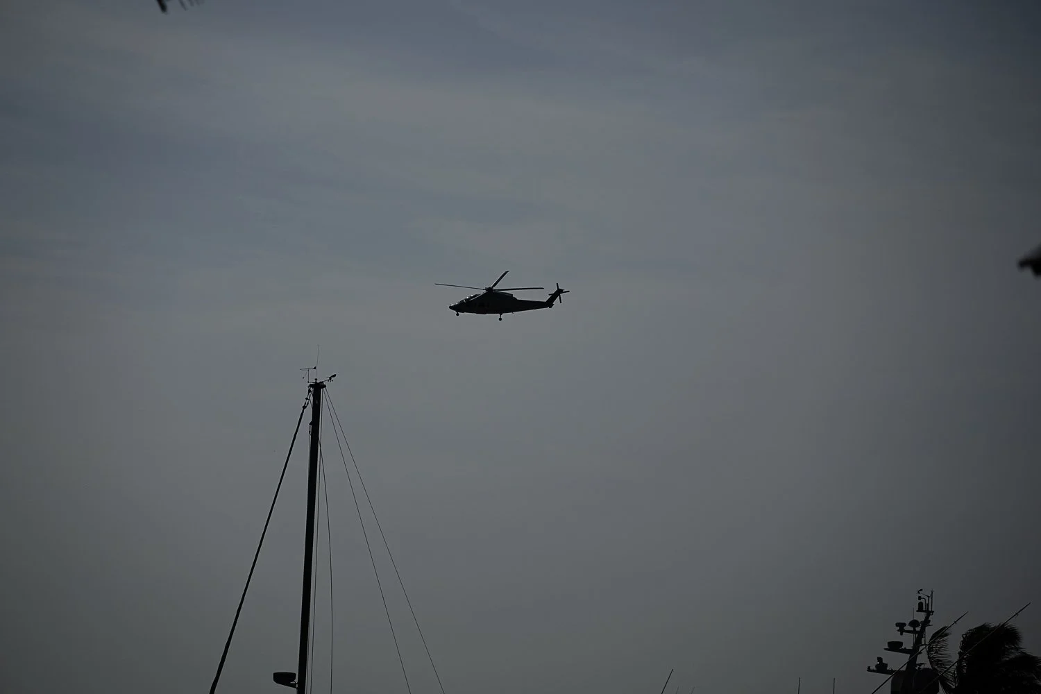 DSC_9842.jpg