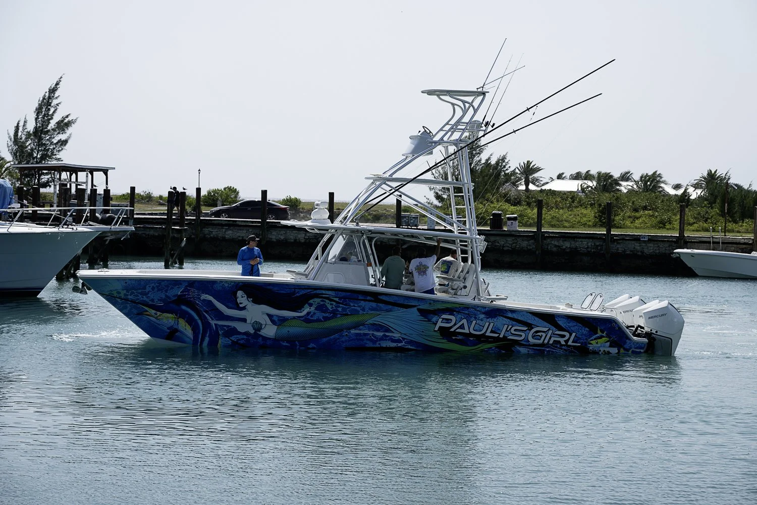 CC8_7426.jpg