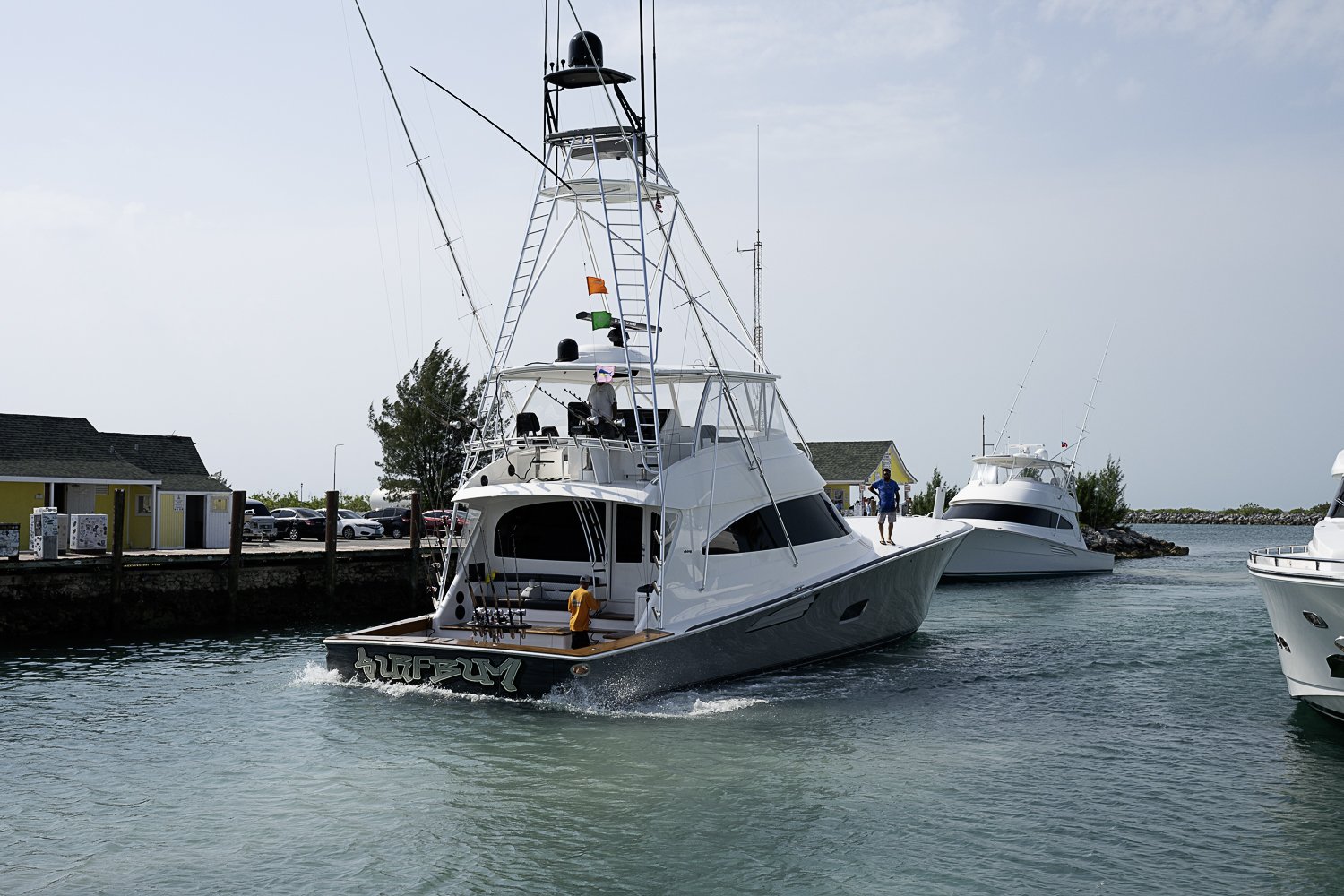CC8_7465.jpg