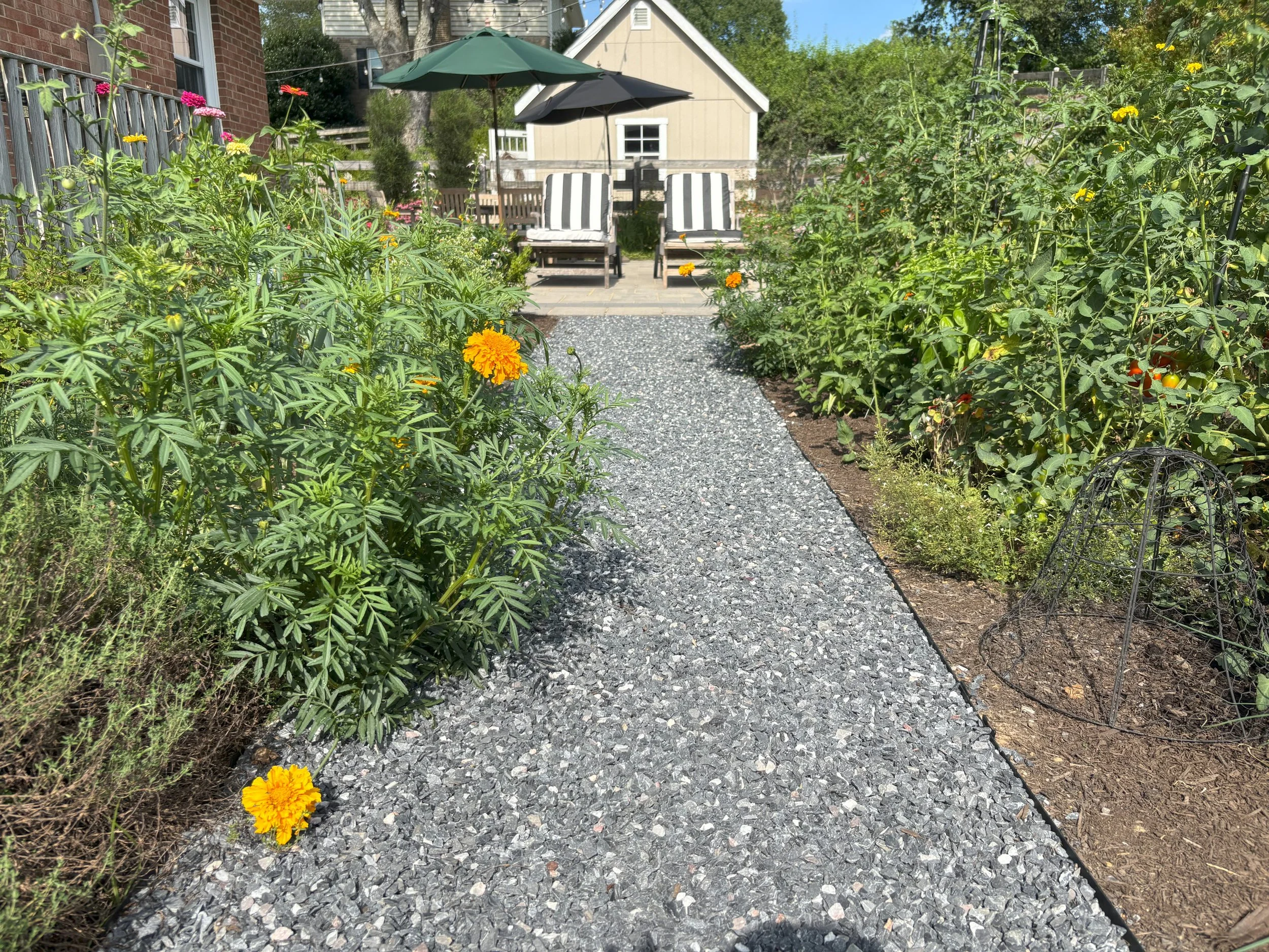 Gravel Pathway through New Vegetable Garden