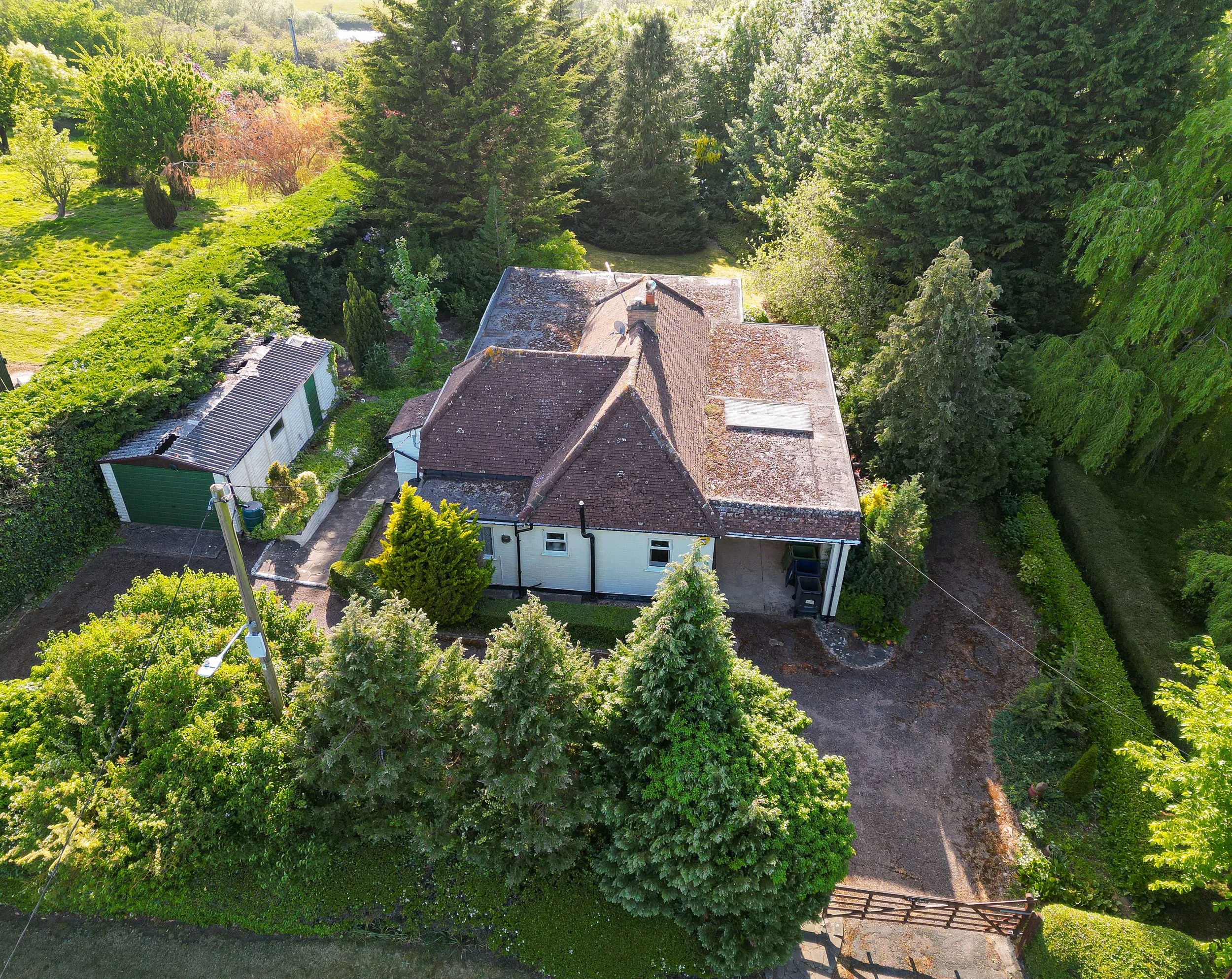 James Polley Photography-3.jpg