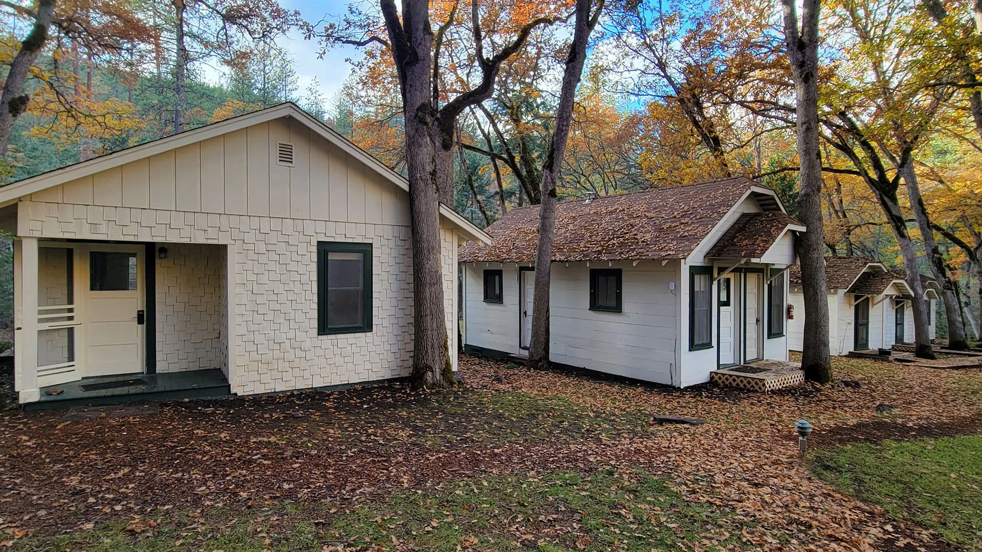 cabins at buckhorn.jpg