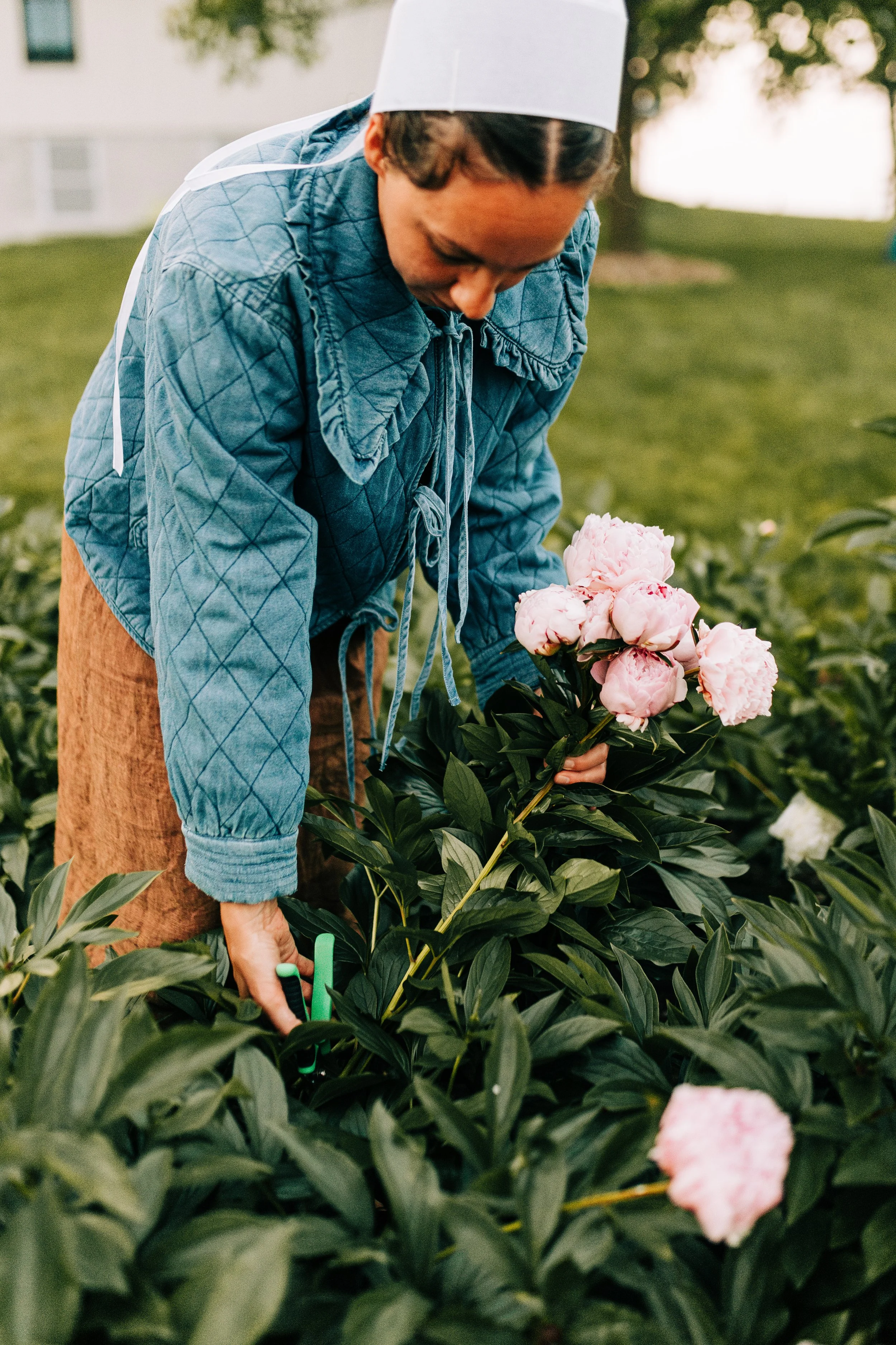 A woman wearing a white bonnet, teal quilted jacket, and light brown pants, is tending to pink peony flowers in a garden or farm.