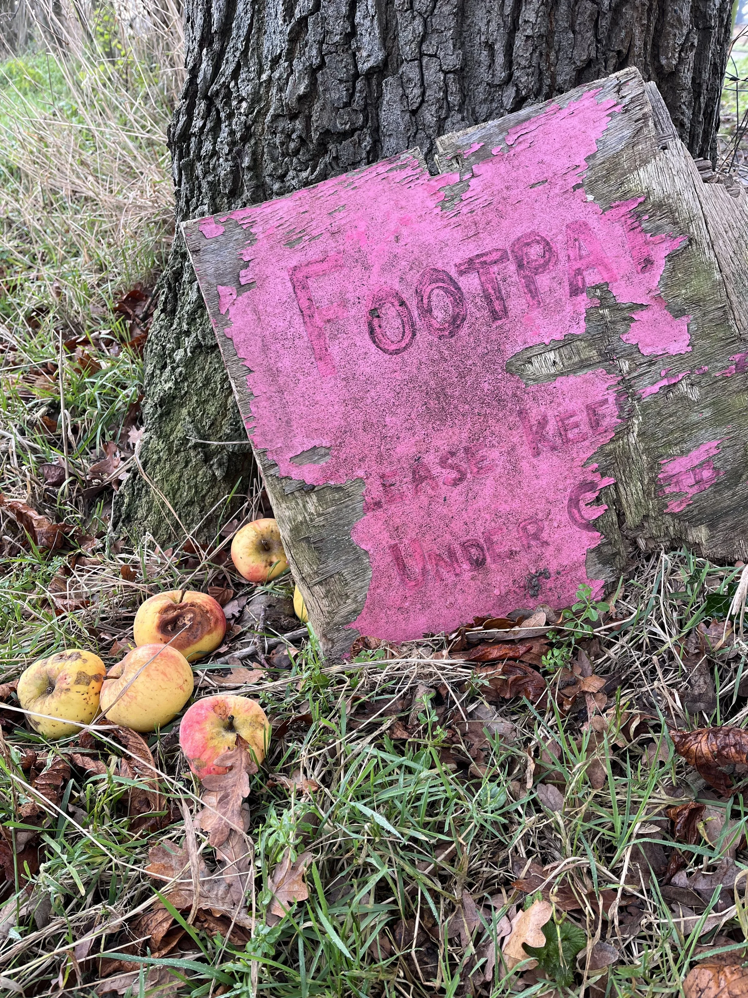 Where did all my words go?