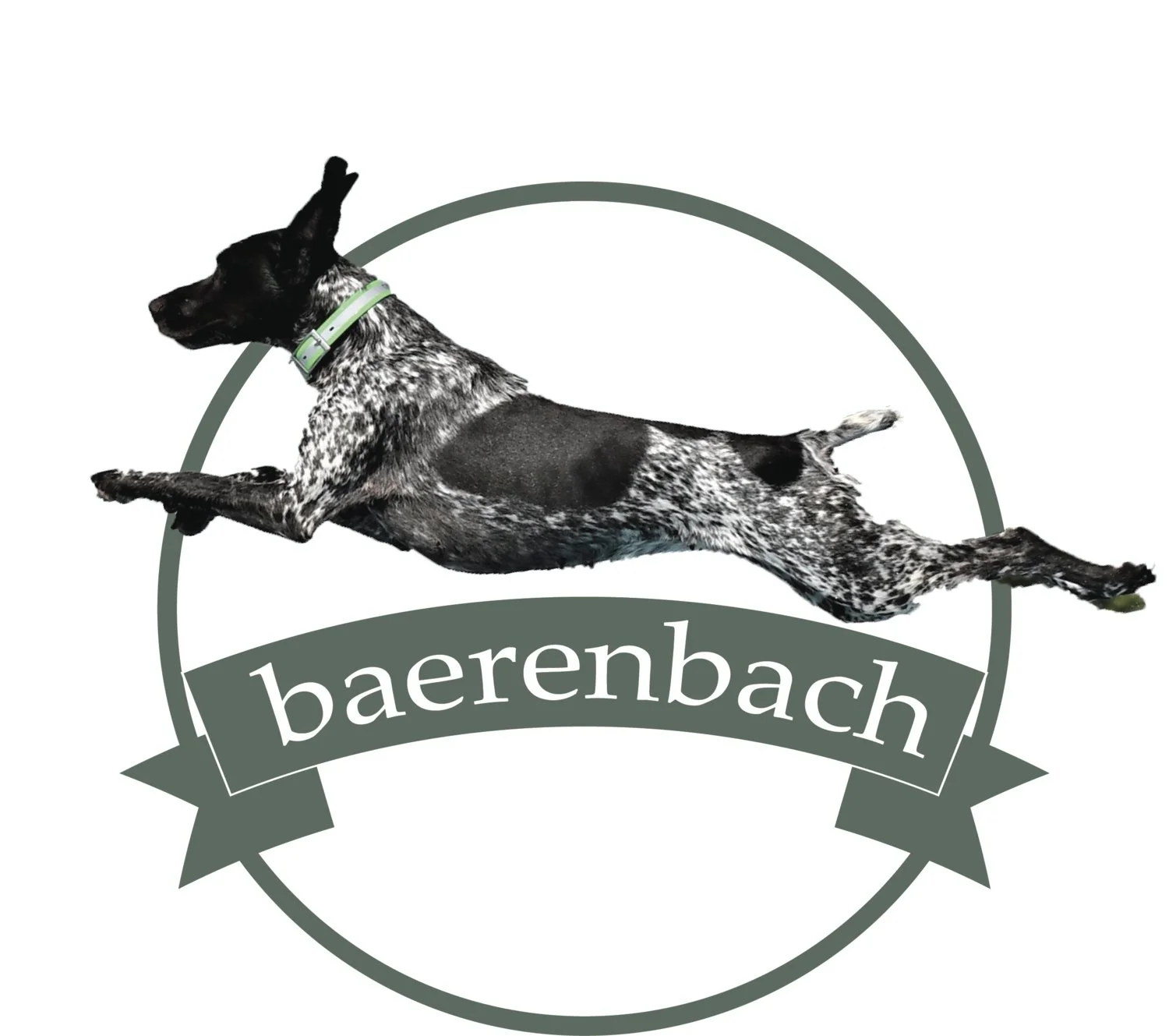 Baerenbach GSP&#39;s