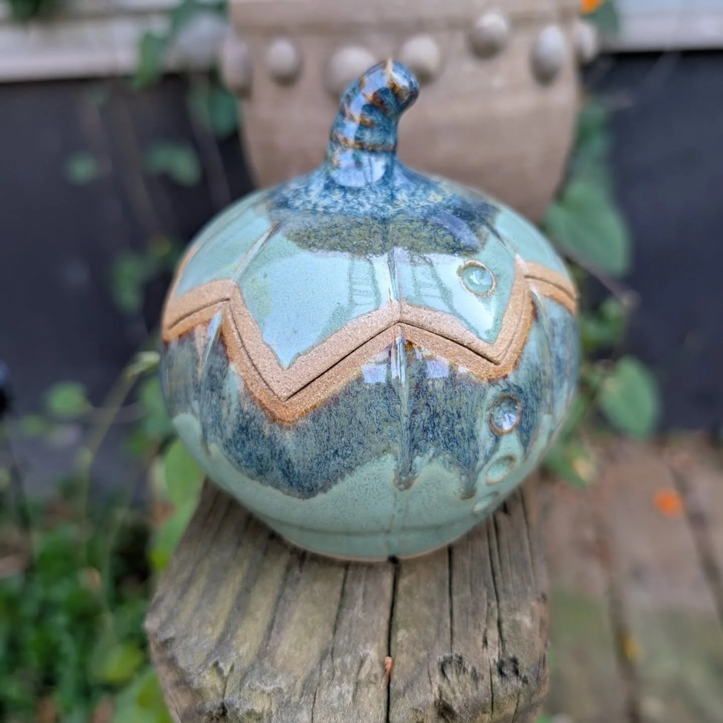 Fall pumpkins and gourds turned out super cute!!

#fallpottery #pumpkinpottery #wheelthrownpottery #pumpkinjars #mountainbasedpottery #cone6oxidation #colorfulpottery