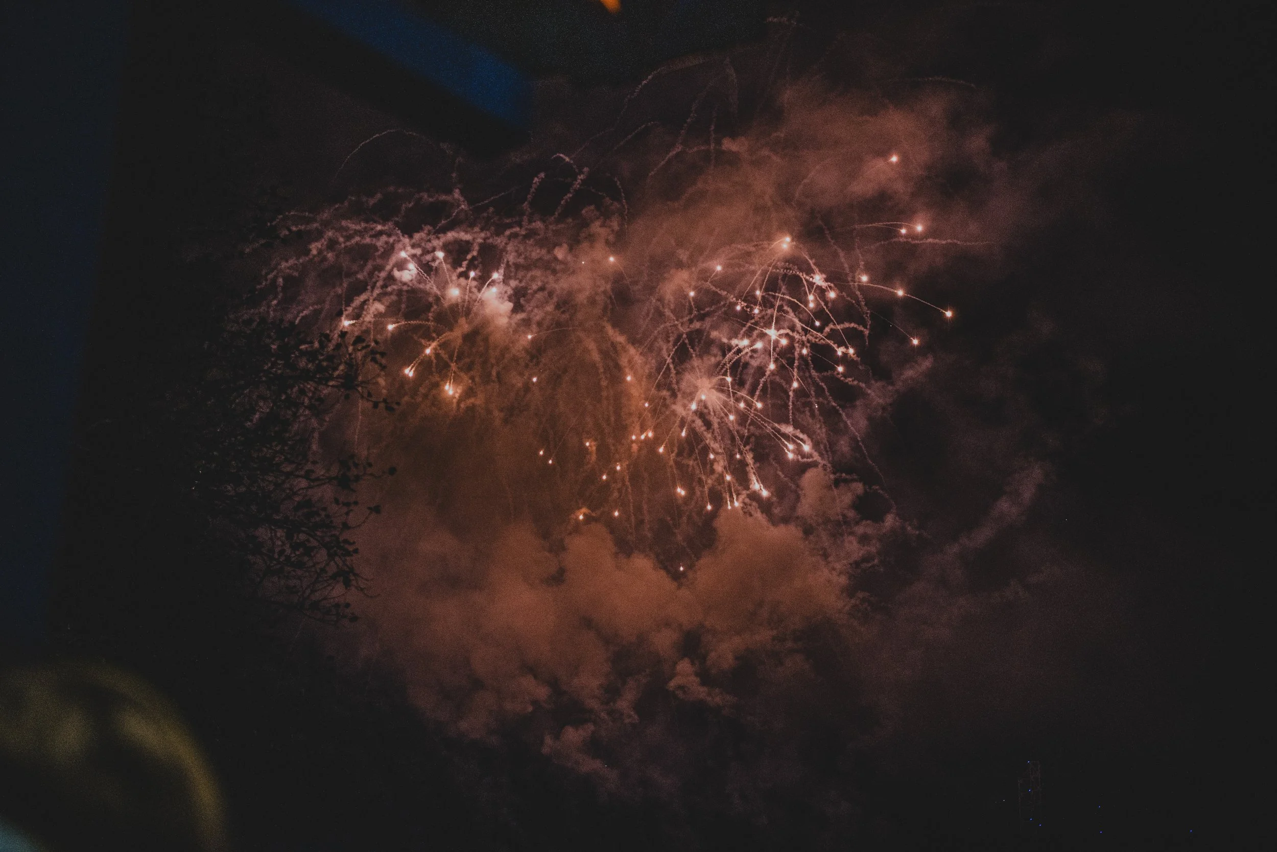 IMG_9509.jpg