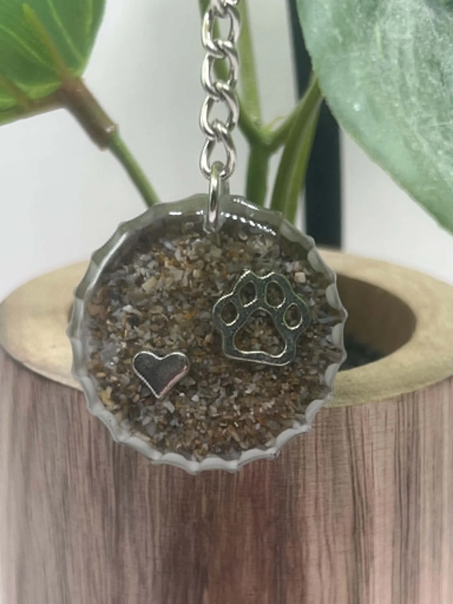 paw print, heart website.jfif