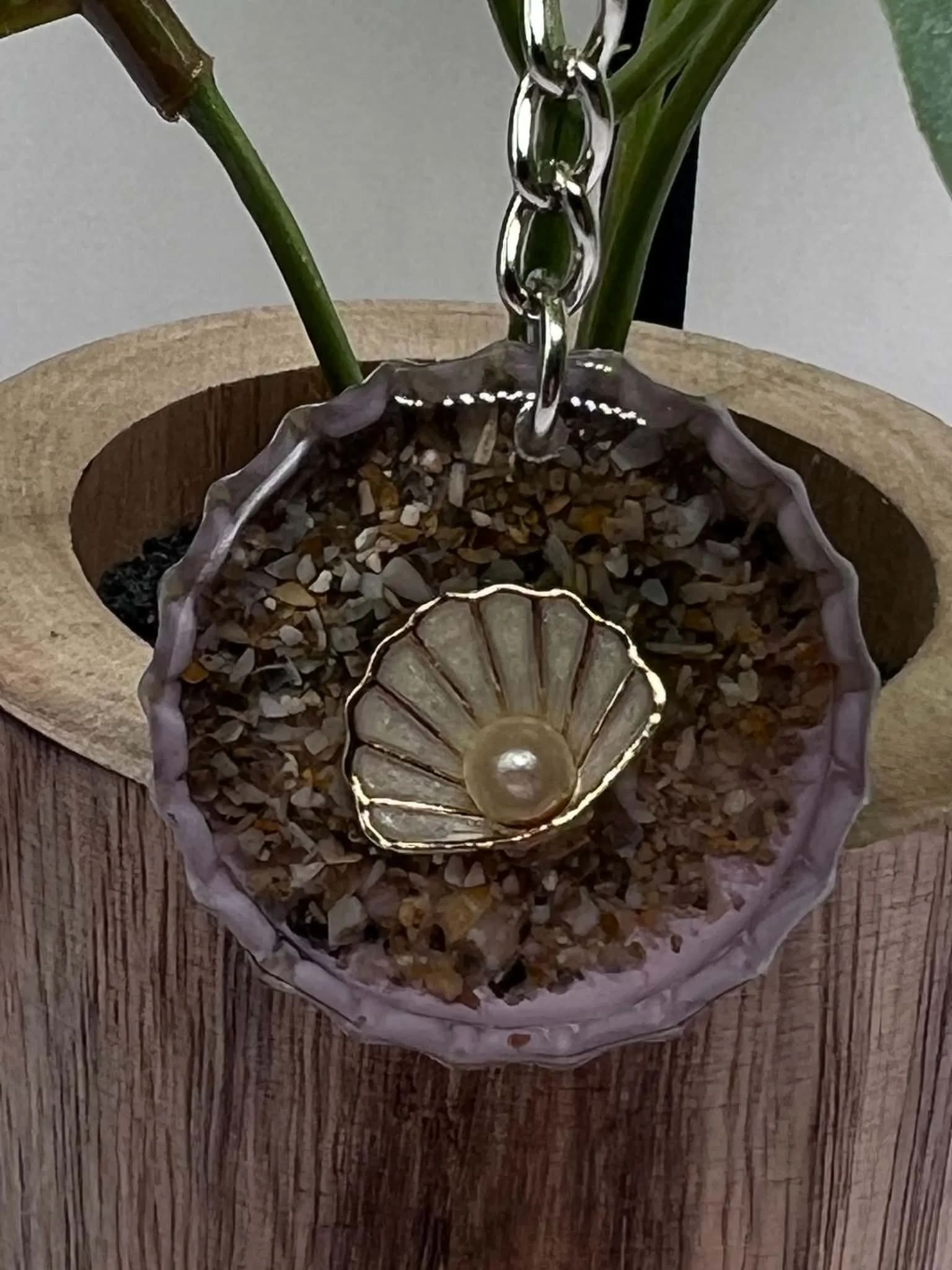 pearl in shell website.jfif