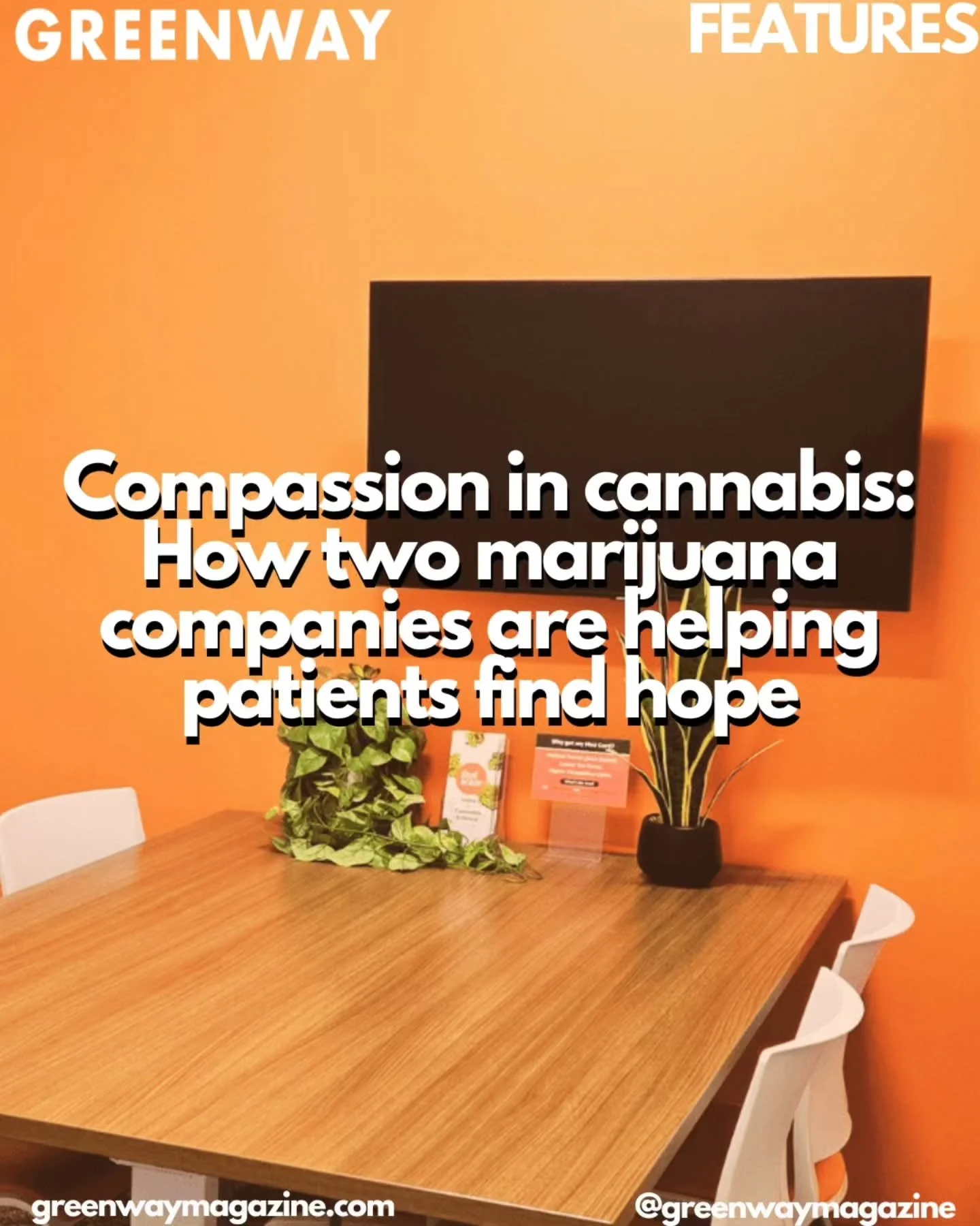&ldquo;Well, firstly, I think the most important thing about this is that they have a sign on the door that says consultation room. And that&rsquo;s a very unusual thing to see at a dispensary, but it implies exactly what it is.&rdquo; This was the f