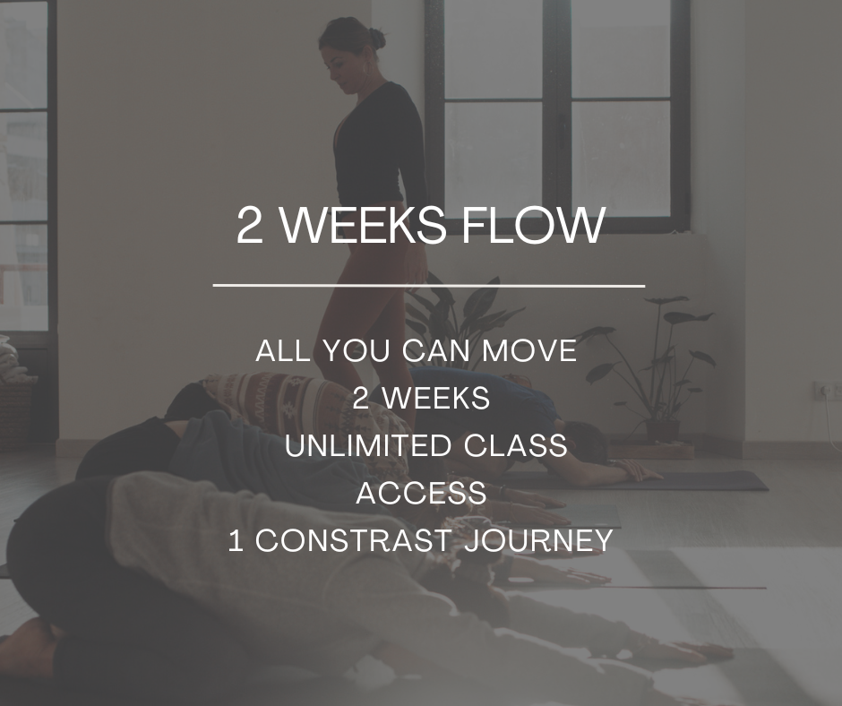 2 Weeks  Holiday Flow Pass