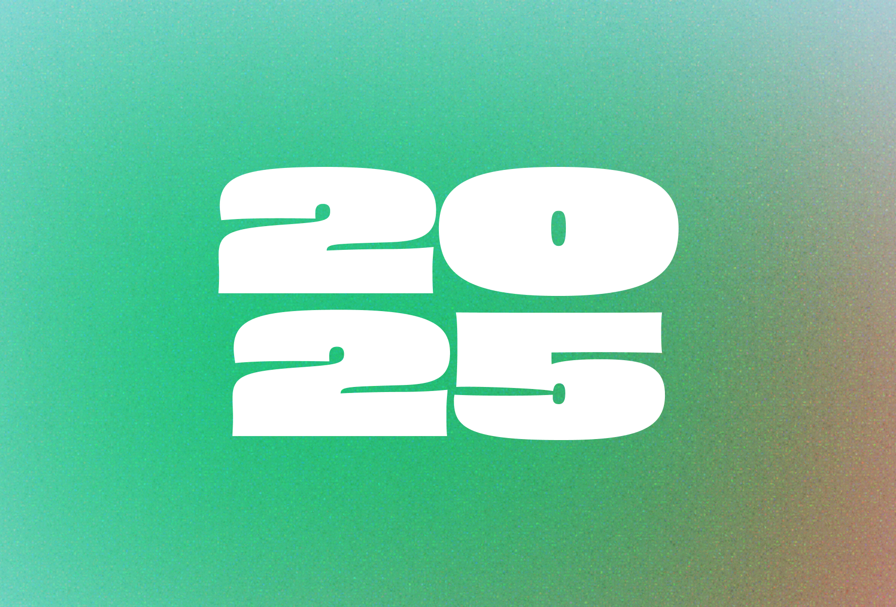 Sviiter Studio — 2025 year in review