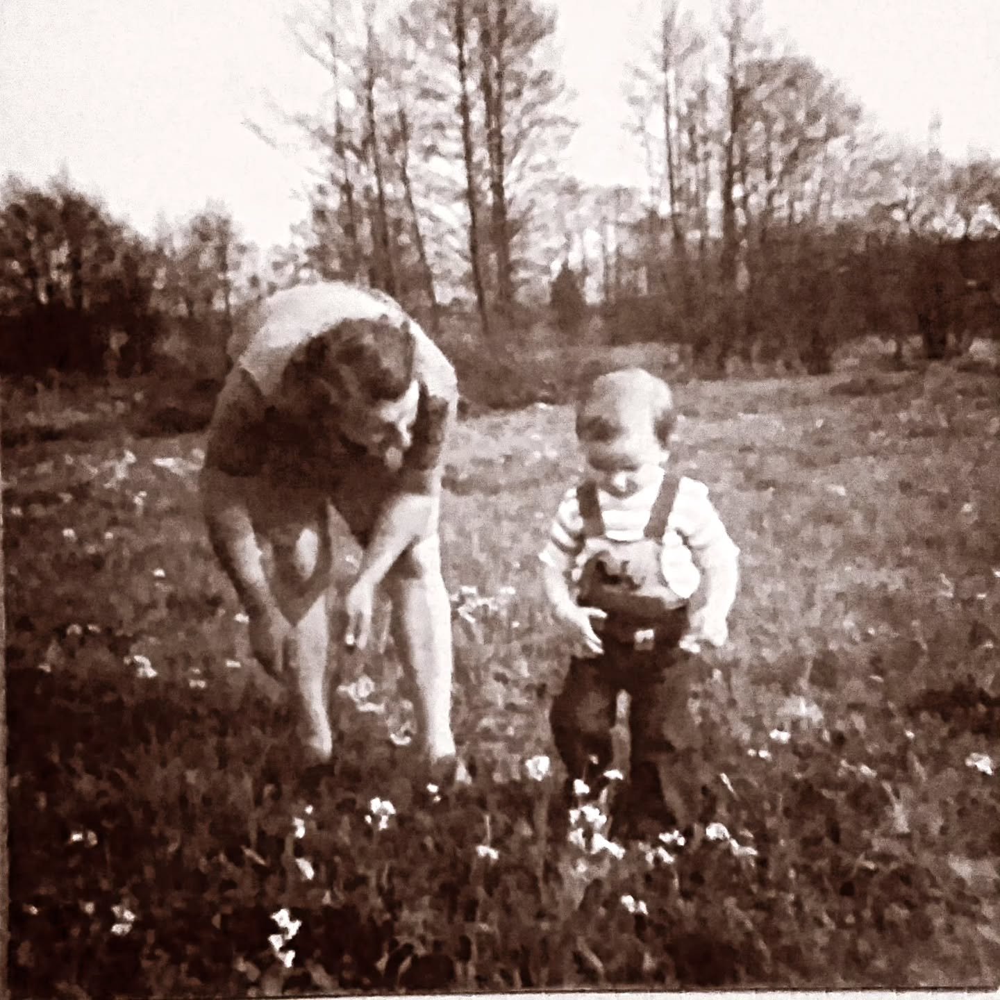 🌸 &quot;Ma passion pour les fleurs, une histoire qui commence il y a bien longtemps... 🌸
Cette petite fille en train de cueillir des fleurs, instant de bonheur, c'&eacute;tait moi, il y a quelques ann&eacute;es, d&eacute;j&agrave; &eacute;merveill&