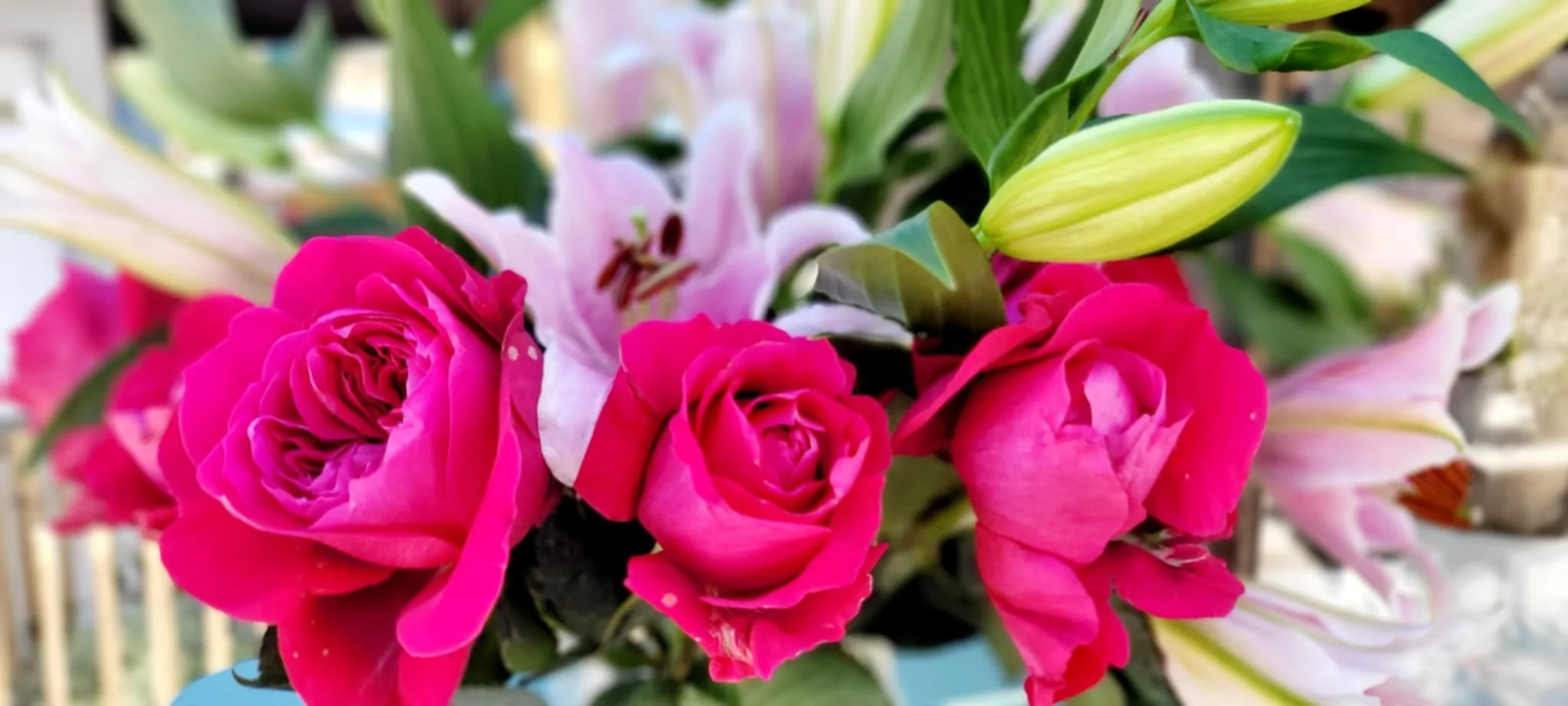 Violetteetabricot : L'art floral qui embellit toutes vos occasions à Banyuls-sur-Mer