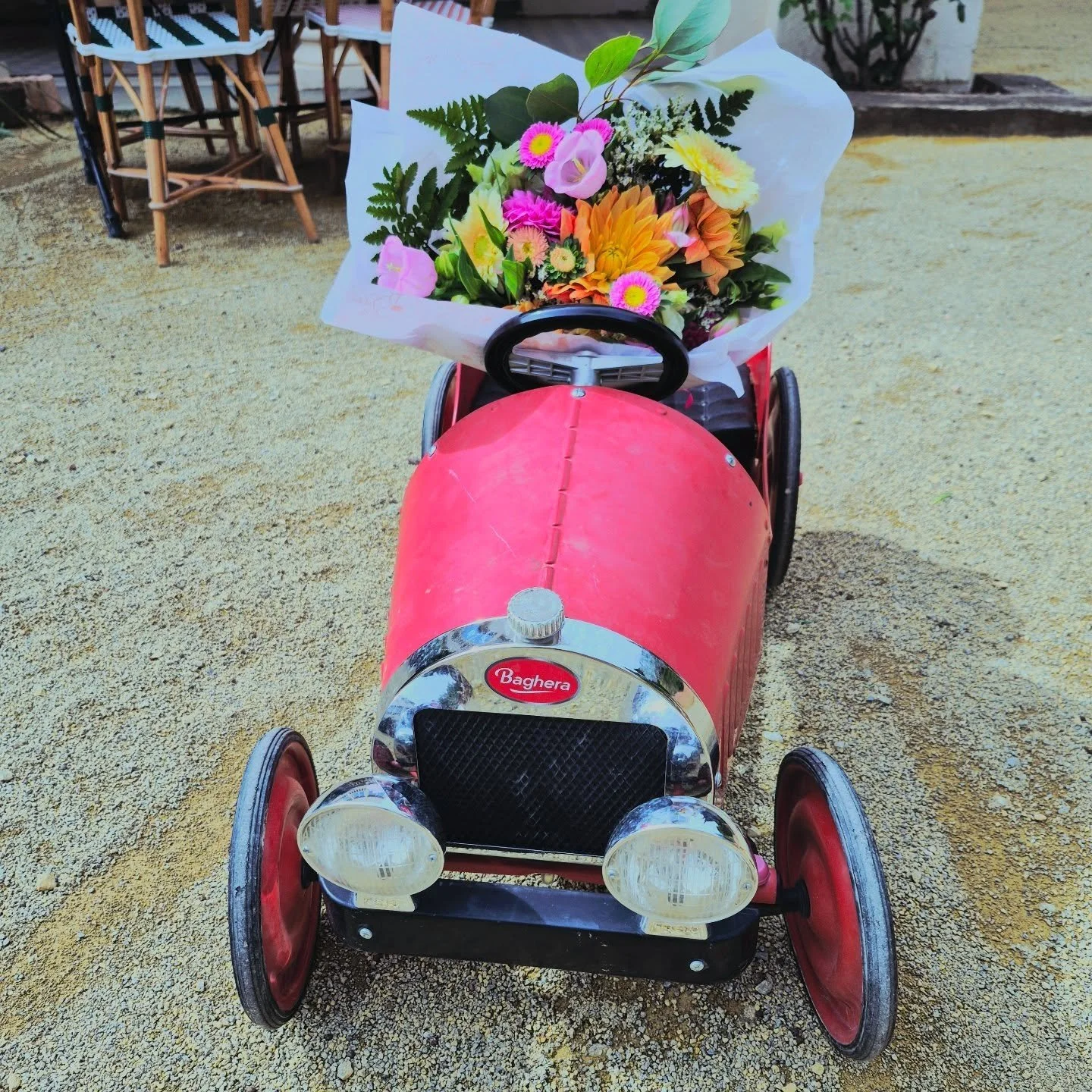 Instant Charmant à Banyuls-sur-Mer !
Chers Amis de la Fleur et du Bon Goût,
Imaginez un instant cette scène digne d'une carte postale d'antan, où la fantaisie se mêle à l'élégance ! Chez Violette