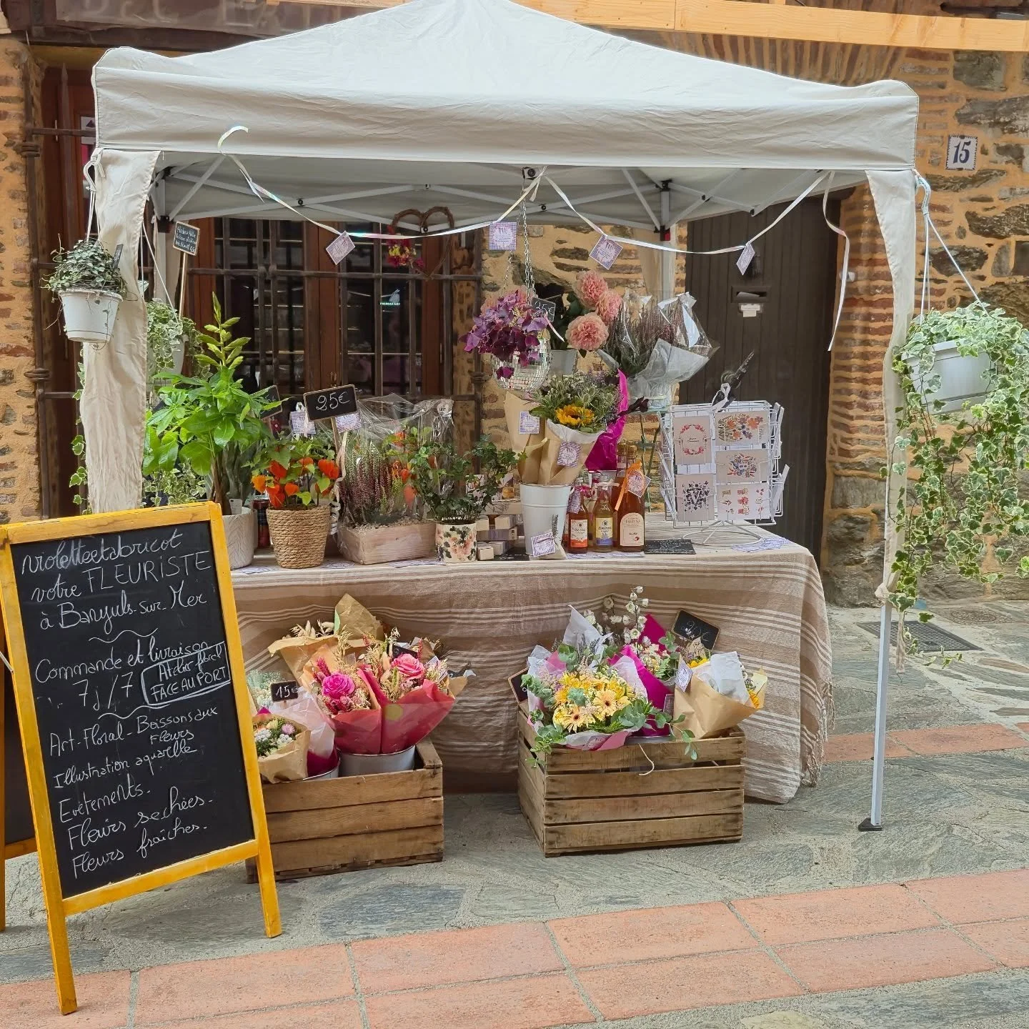 "L'automne déploie ses charmes à Banyuls ! 🍂✨ 
Tandis que le lierre caresse nos murs, que les bruyères habillent les jardins de leurs teintes pourpres et que l'oxalis et les derniers tournesols (oui, ils résistent en