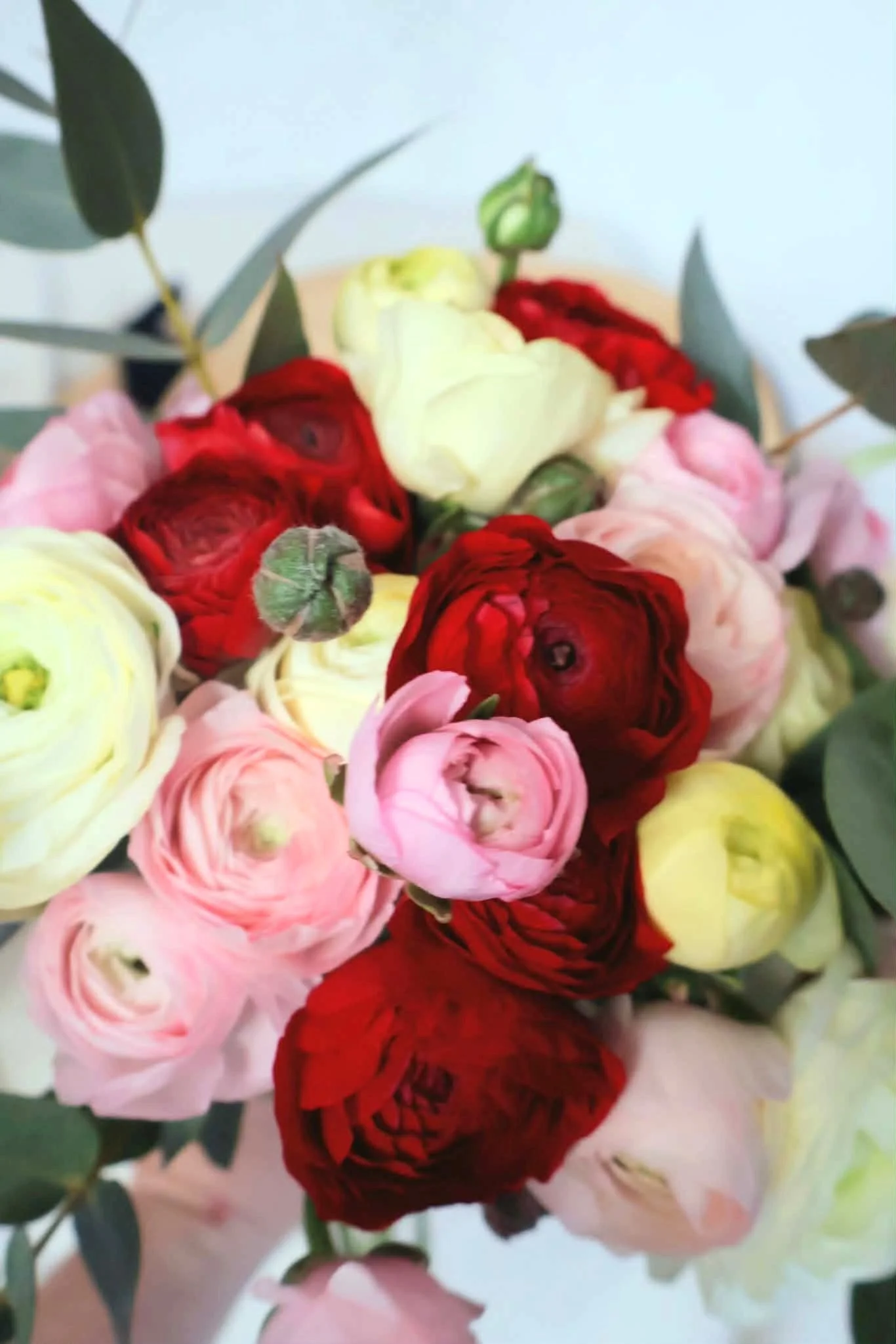 RENONCULES BOUQUET .jpg