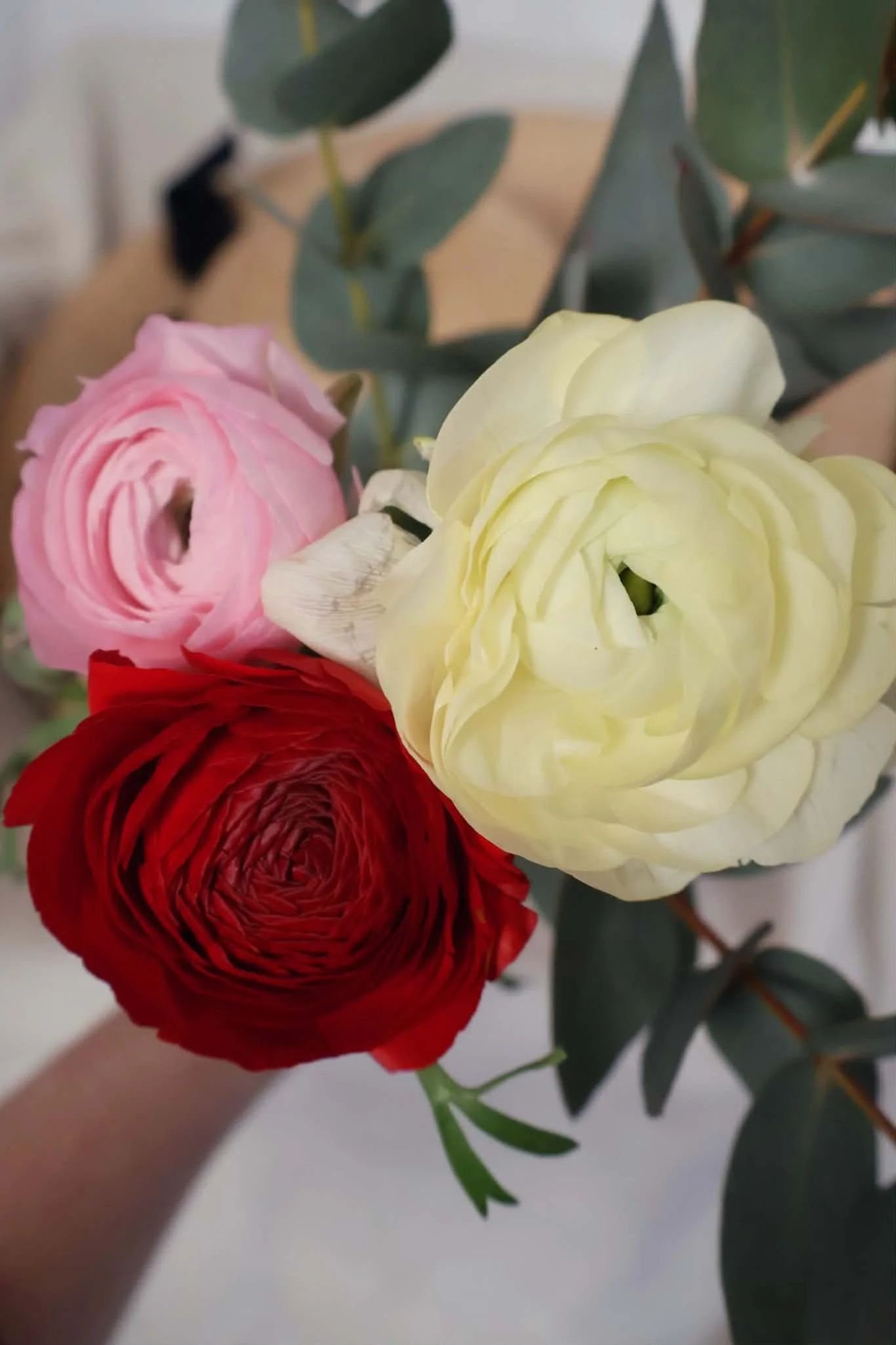 RENONCULES BOUQUET VIOLETTE ET ABRICOT .jpg