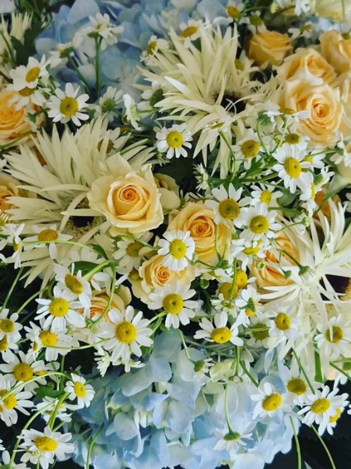 Bouquet Douceur : Une tendre attention pour une naissance 👶🏼🍼

Quoi de plus d&eacute;licat que ce m&eacute;lange de bleu, de blanc et de p&ecirc;che pour c&eacute;l&eacute;brer l'arriv&eacute;e d'un nouveau-n&eacute; ? Un bouquet tout en nuances e