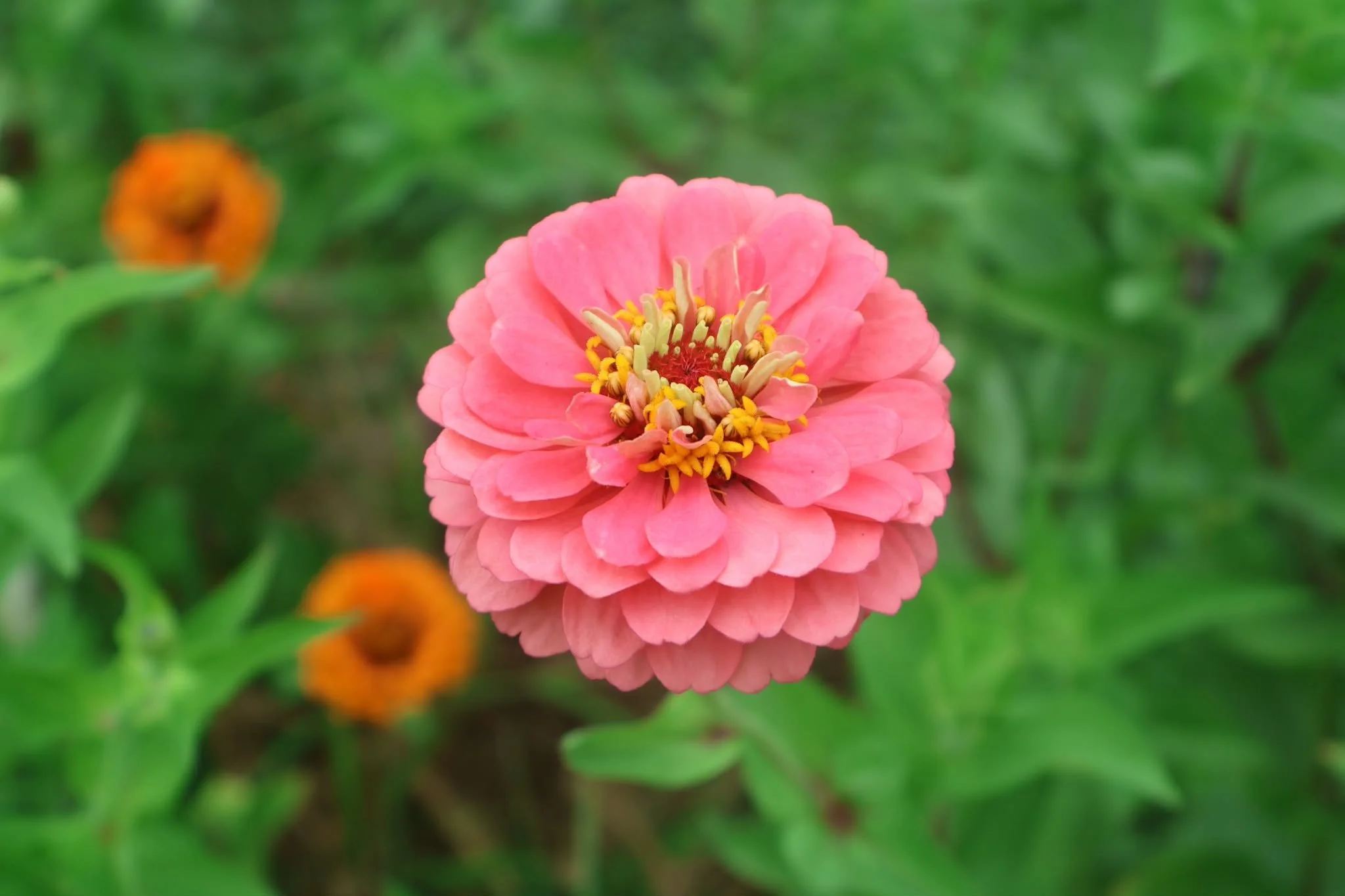 2d89439a-b17b-4770-ab0f-a452cf8da843.jpg