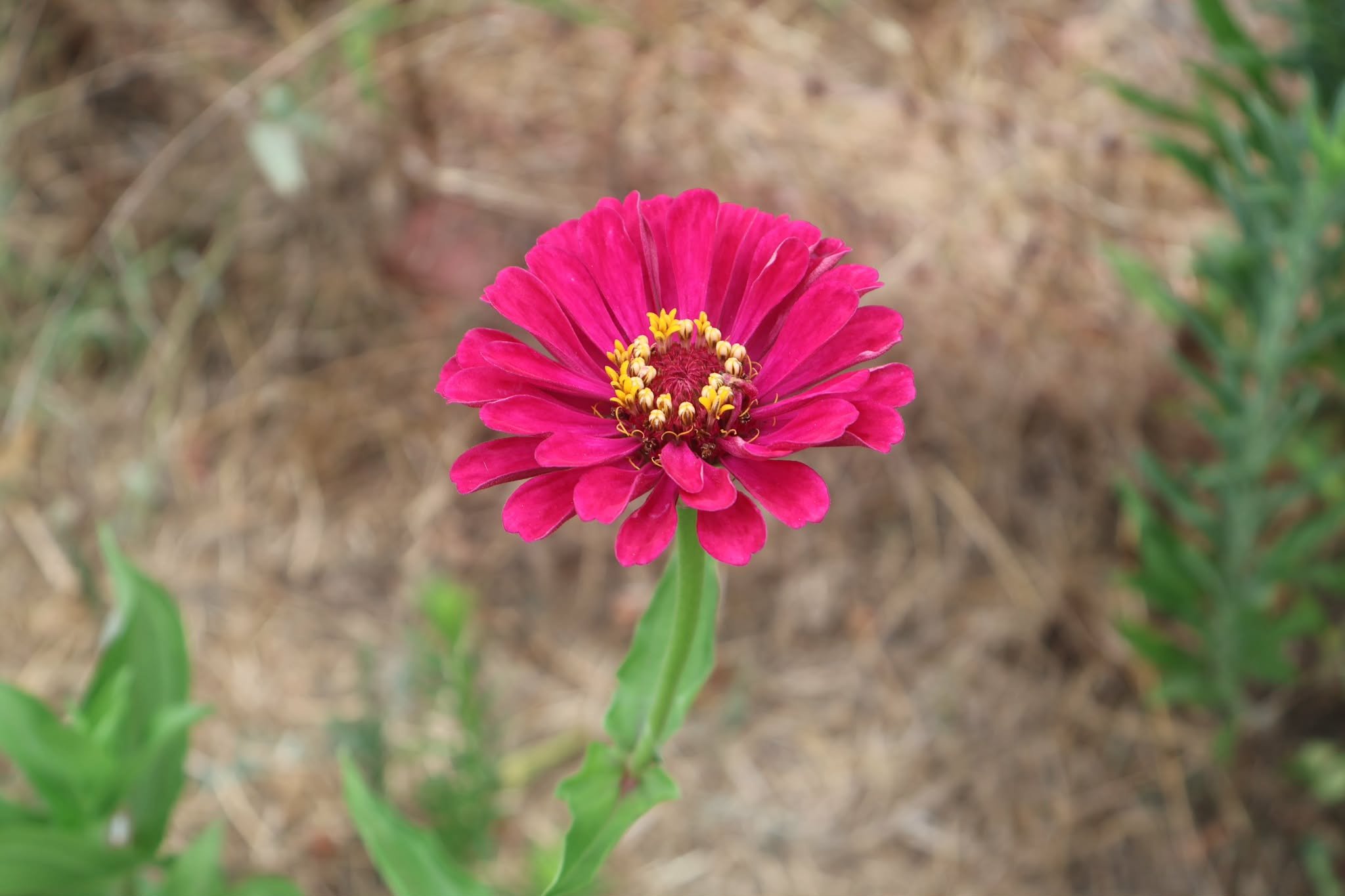 3592f4e6-5057-470d-a6f2-ef2cca6cb1a5.jpg