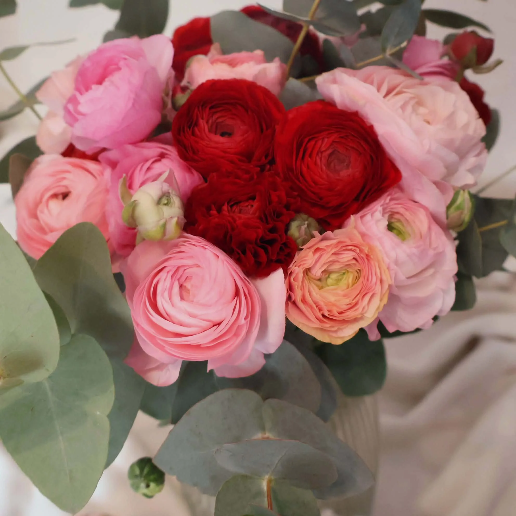 renoncules - rouge - rose - saint- valentin - violette - abricot.jpg