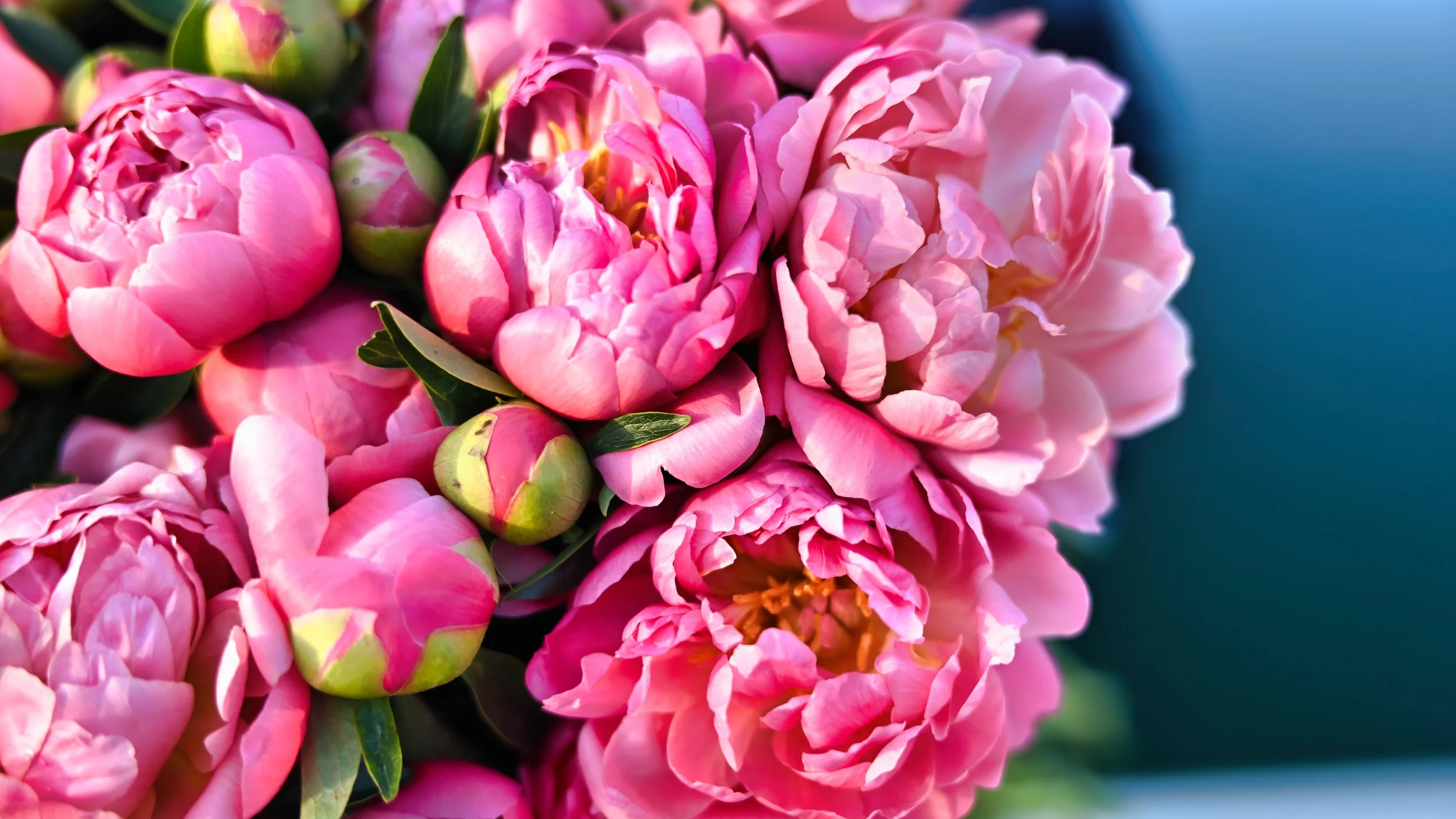 atelier fleural evjf violette et abricot .jpg