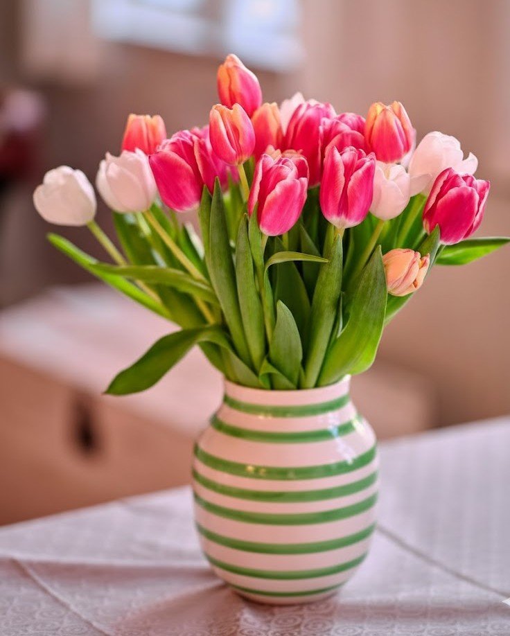 Bouquet de Tulipes  