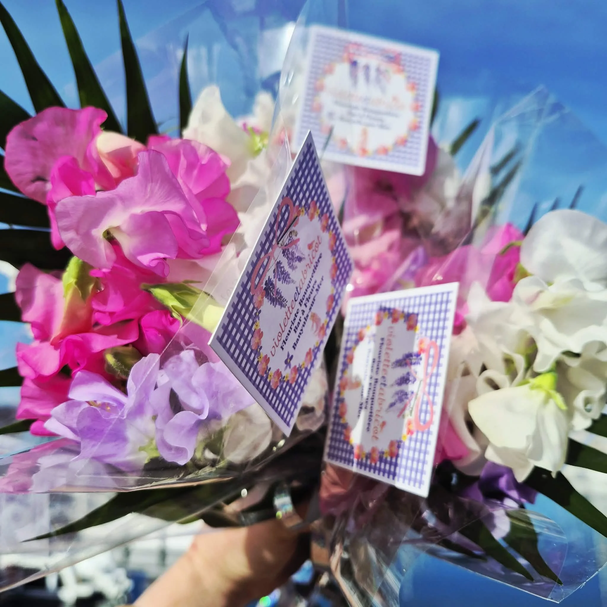Bouquet de pois de senteur frais et locaux des Pyrénées Orientales sur le stand de Violette et Abricot, fleuriste à Banyuls-sur-Mer
