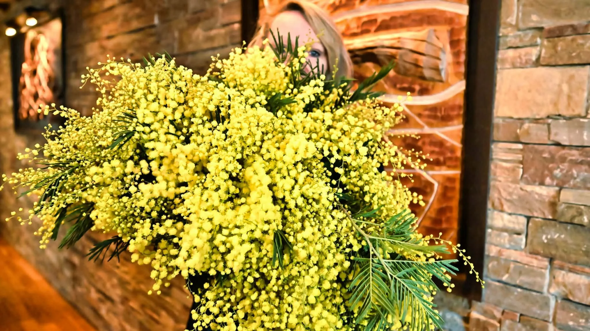 MIMOSA VIOLETTEETABRICOT A OFFRIR.jpg