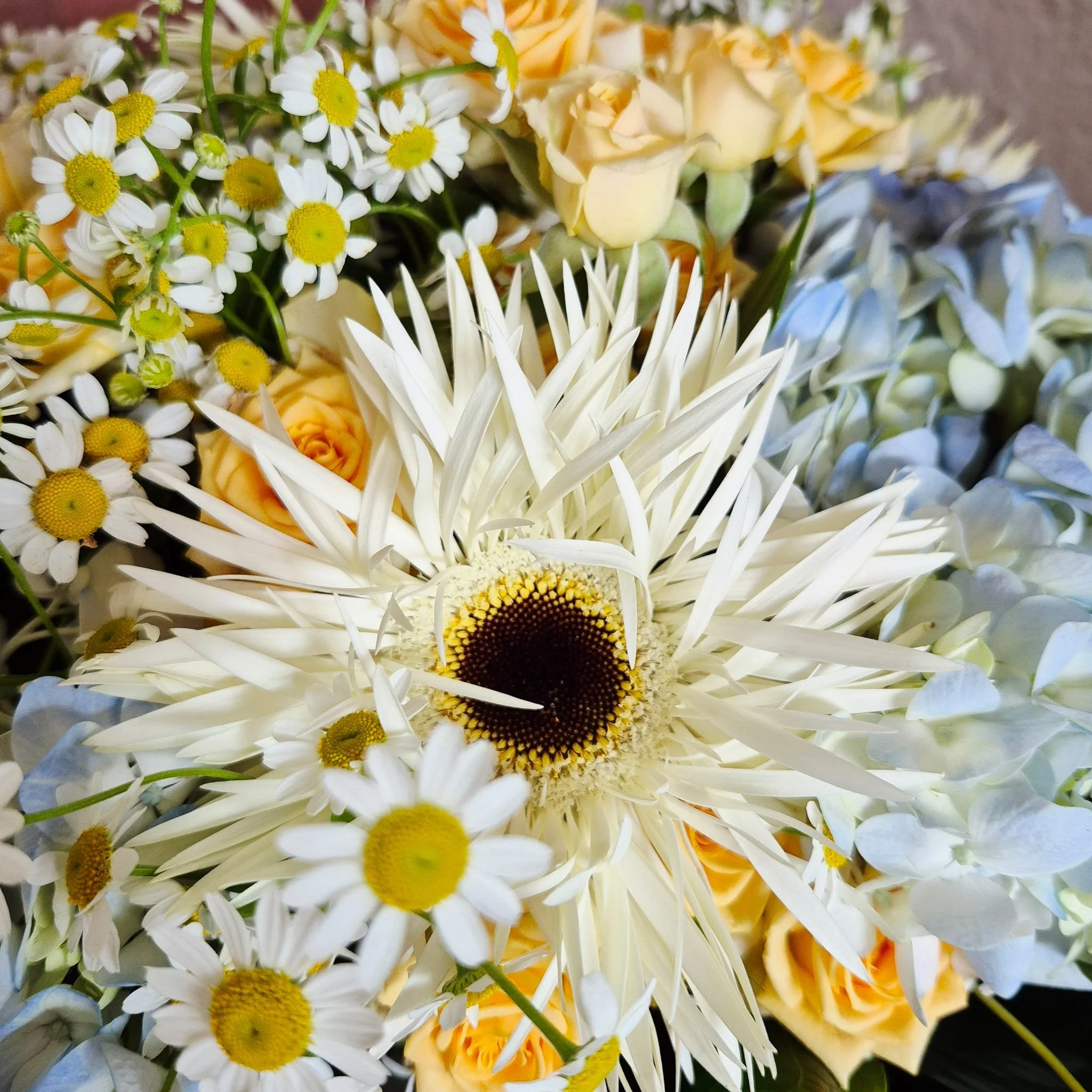 bouquet douceur violetteetabricot fleuriste Banyuls-sur-Mer.jpg