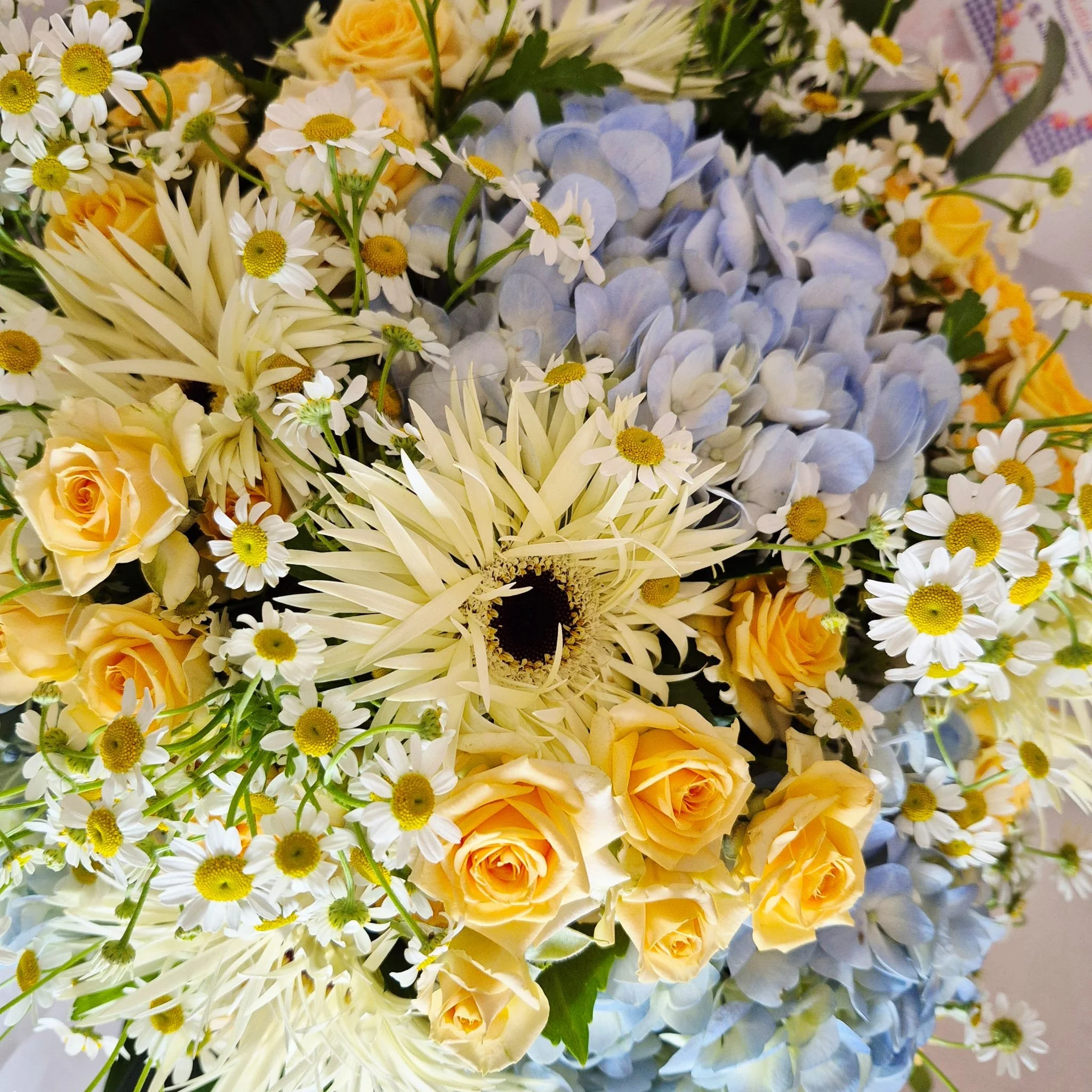 bouquet de naissance prestige xxl violetteetabricot Banyuls.jpg