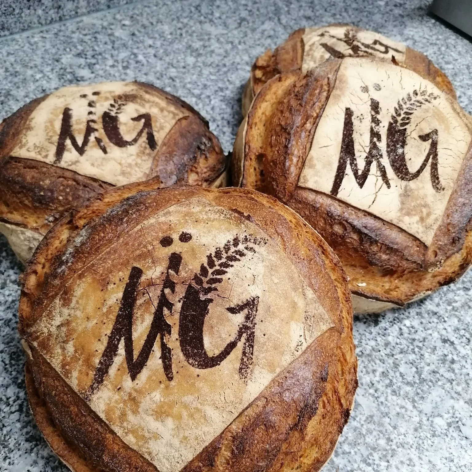 Logo de la boulangerie Le Fournil de Maël et Gaël, partenaire de l'artisan fleuriste Violette et Abricot à Banyuls-sur-Mer 