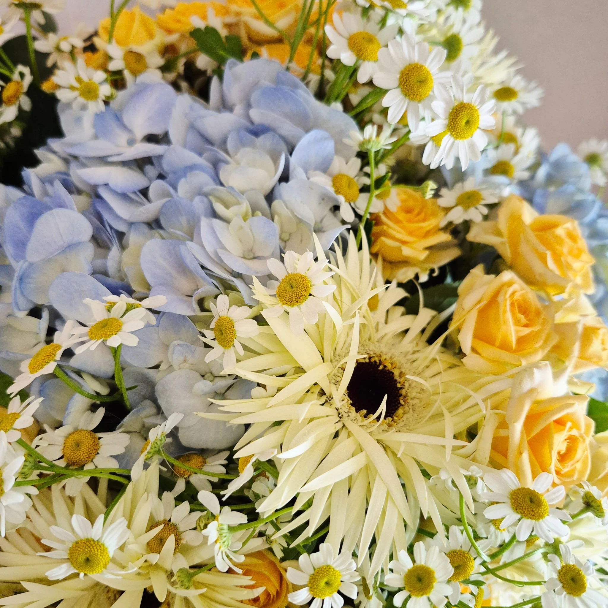 bouquet poetique et champetre violetteetabricot.jpg
