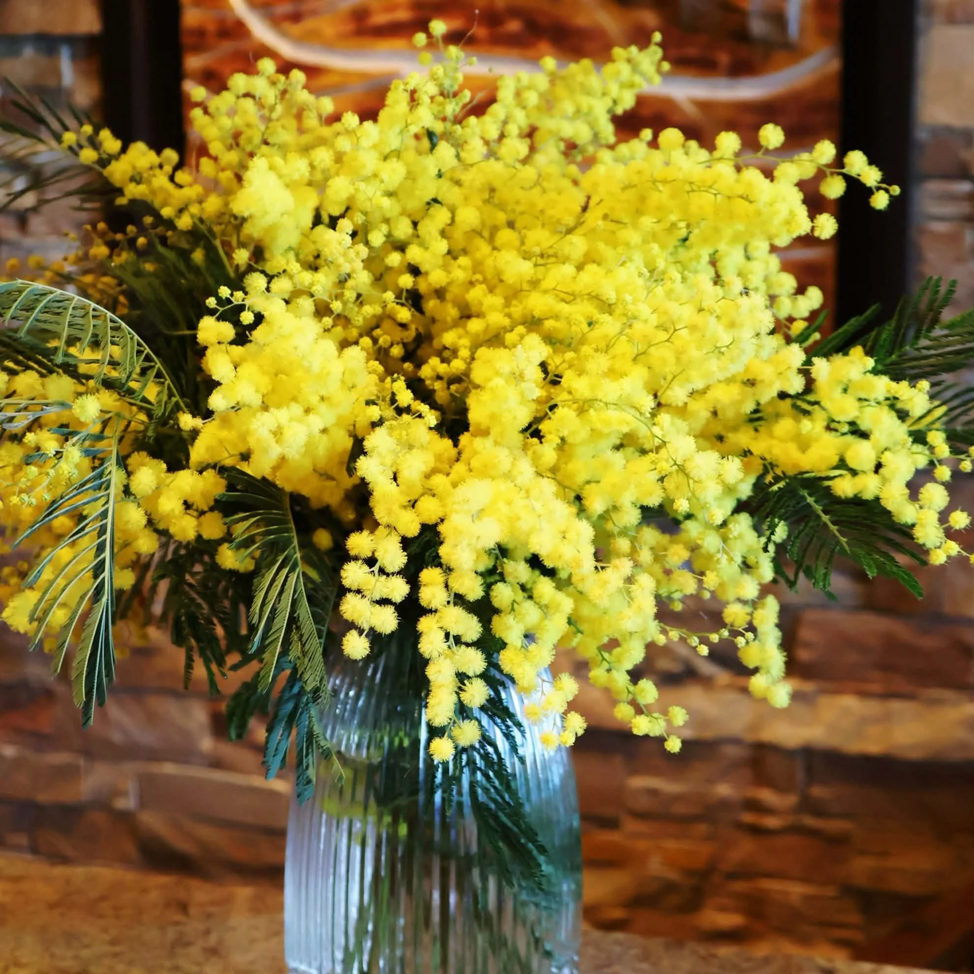 MIMOSA COMMANDEZ VOTRE BOUQUET CHEZ VIOLETTEETABRICOT.jpg