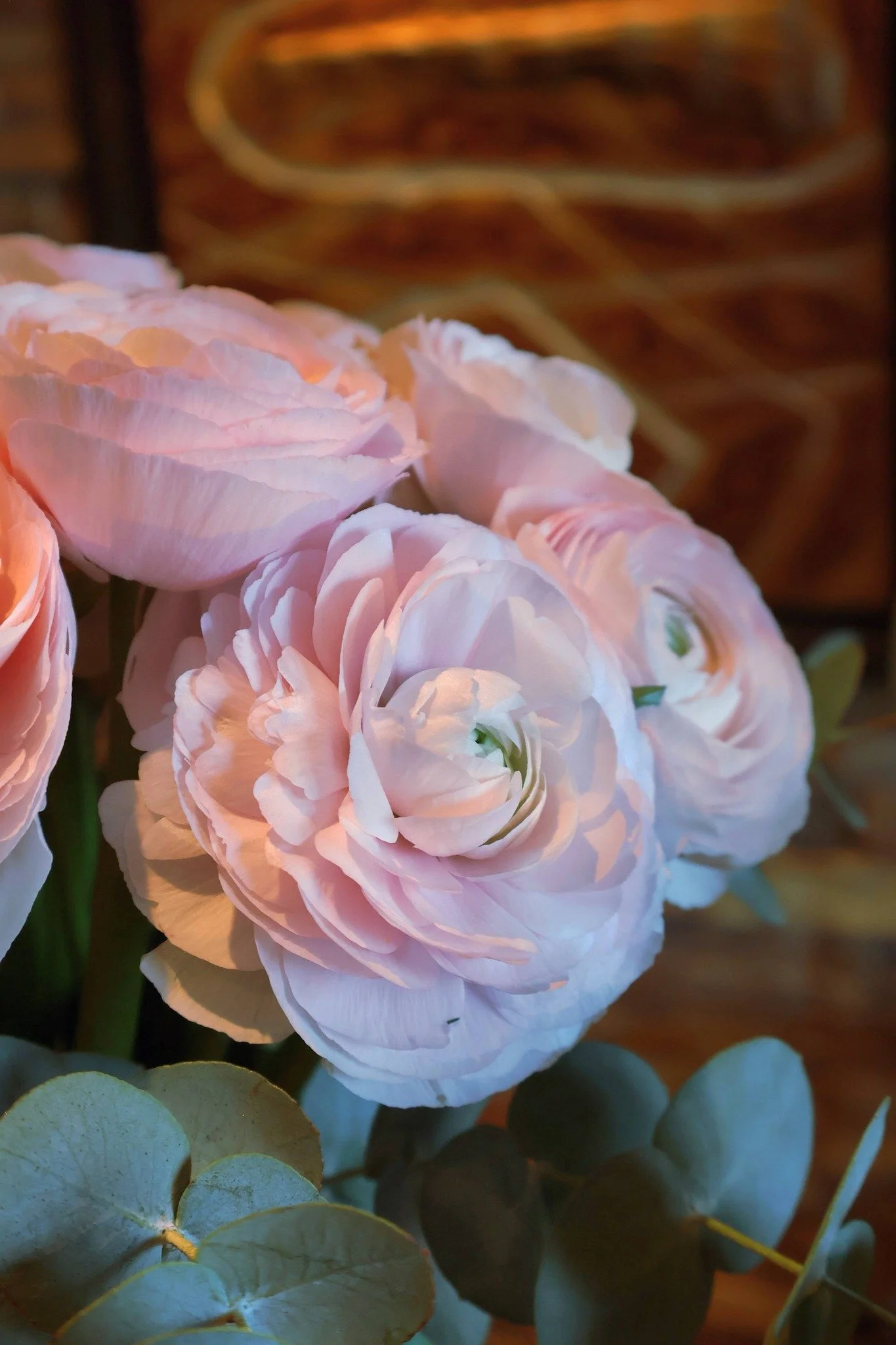 la douceur de la renoncule violetteetabricot.jpg