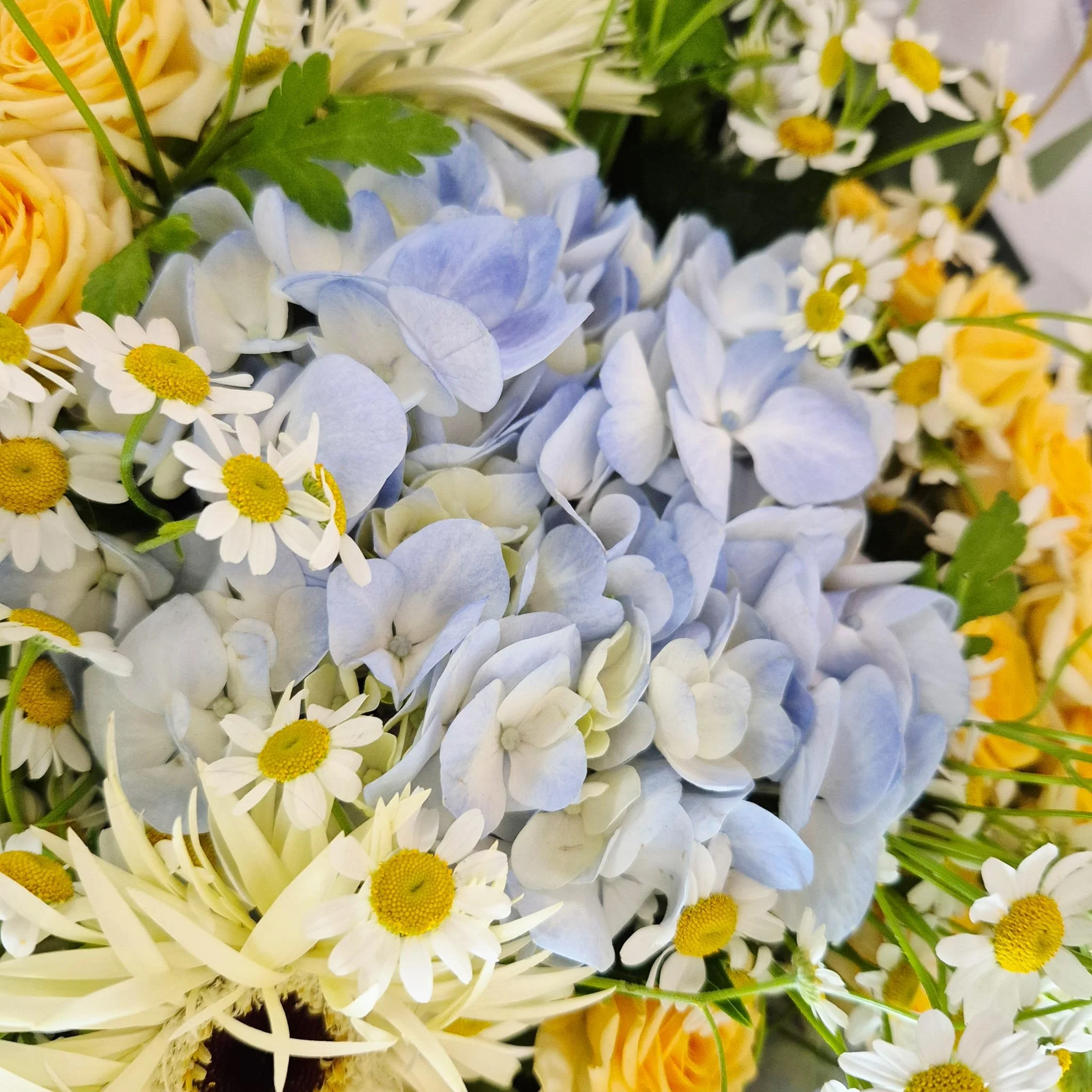 bouquet de naissance bleu violetteetabricot.jpg
