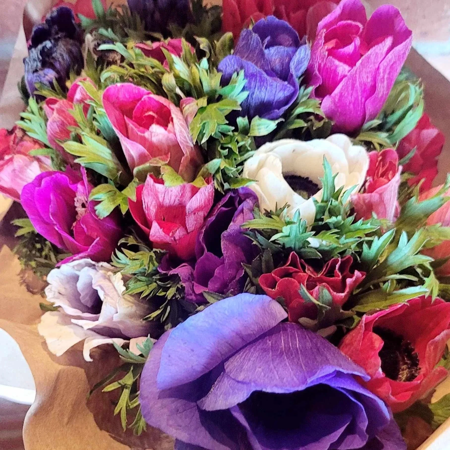 anemone - atelier - floral - violetteetabricot - banyuls