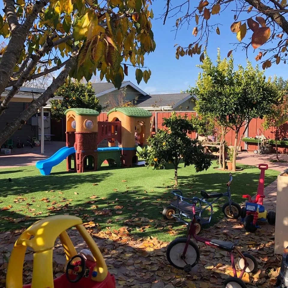 The backyard at In-Home