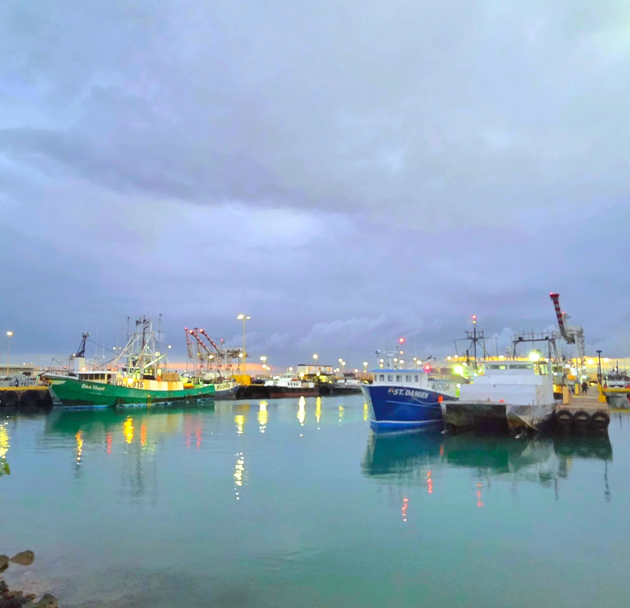 What do I find on my first day in Hawaii? Beautiful views and animals of course!