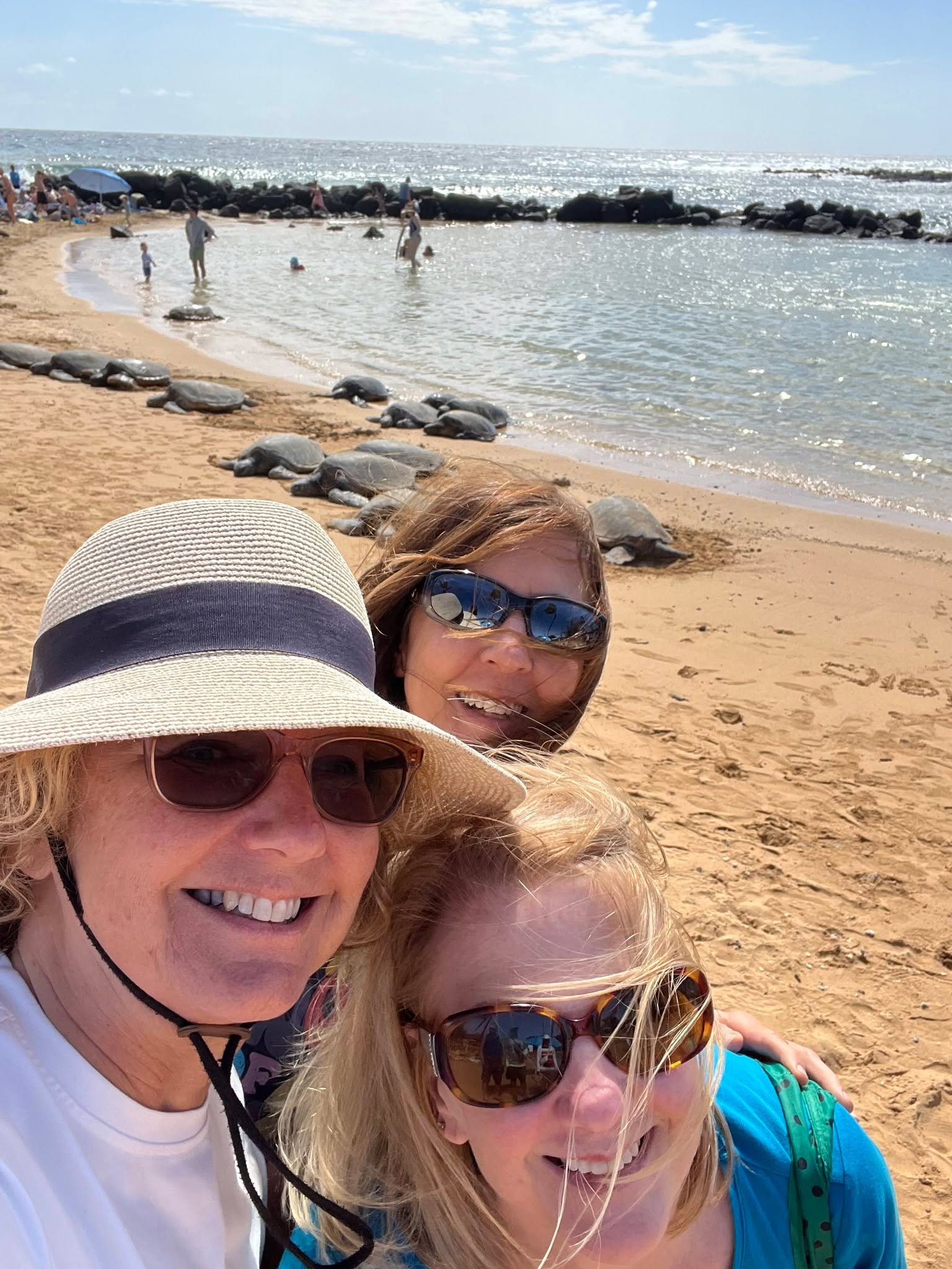 🐢🐢🐢 Sea Turtles Y'all! 💚💚💚