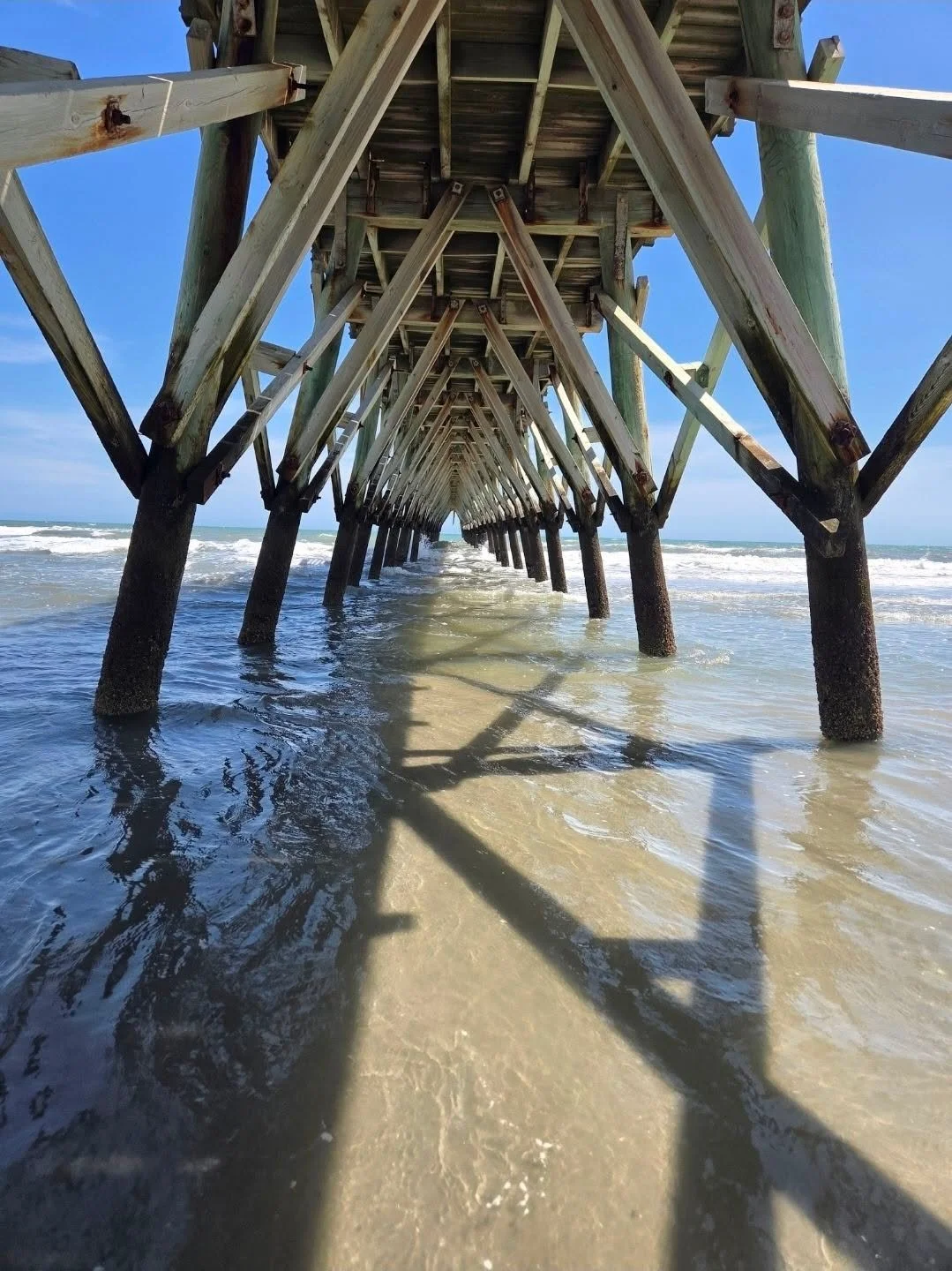 Salt air. Warm sand. That peaceful hum of the ocean.

Just another ordinary day on the Carolina coast.
Grateful to call this home. 🌊

#NorthMyrtleBeach #CoastalLiving #AmySellsCarolina