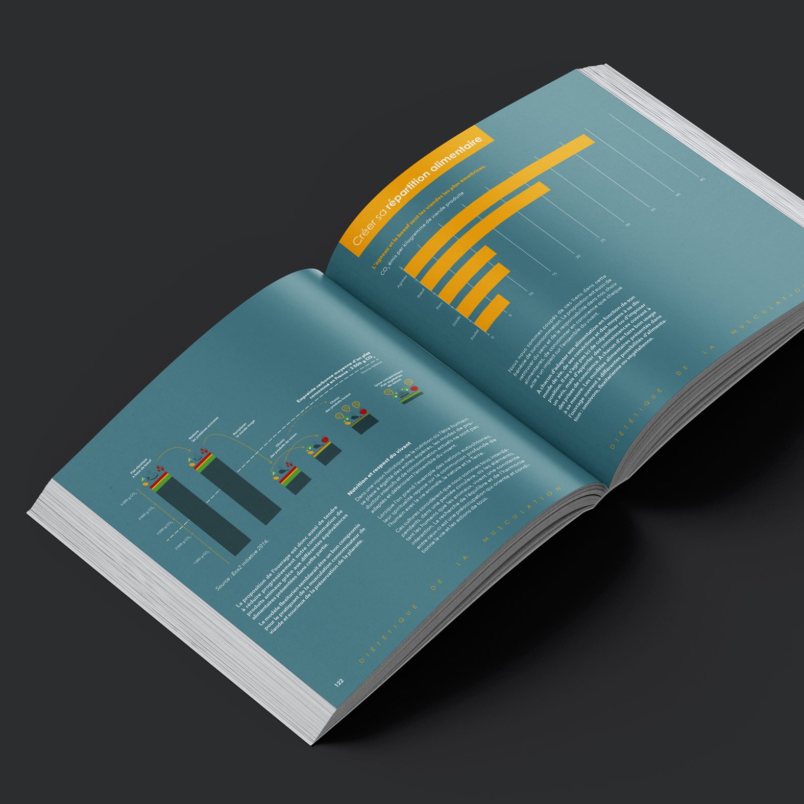 Livre ouvert avec des graphiques et textes explicatifs sur fond bleu turquoise.