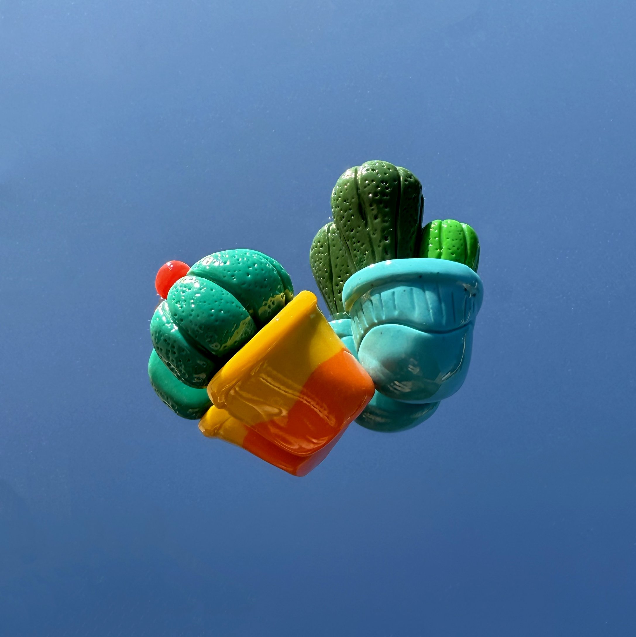 Magnets Cactus