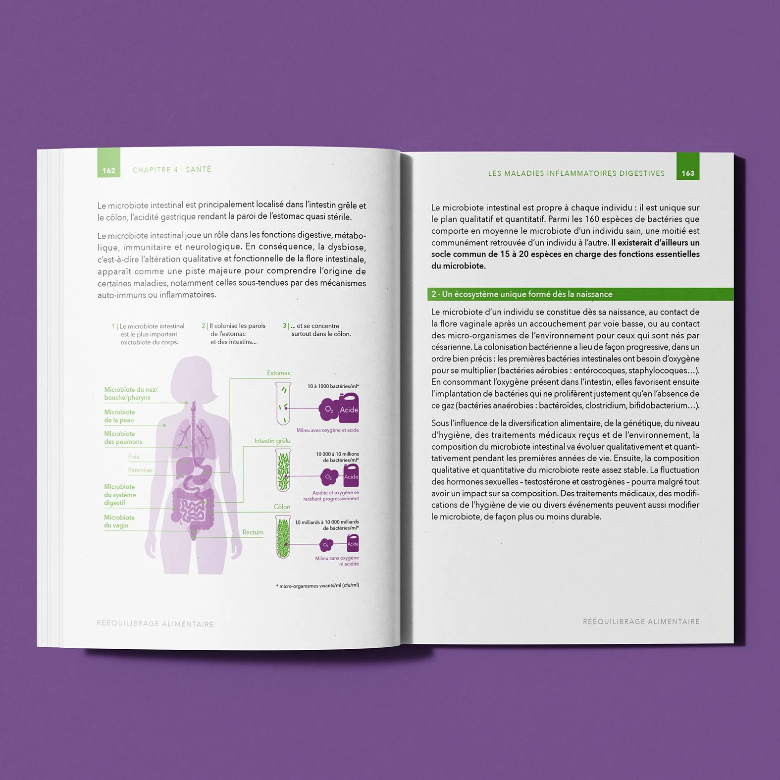 Pages d'un livre sur la santé intestinale, avec des illustrations et du texte en français sur le microbiote intestinal. Fond violet.
