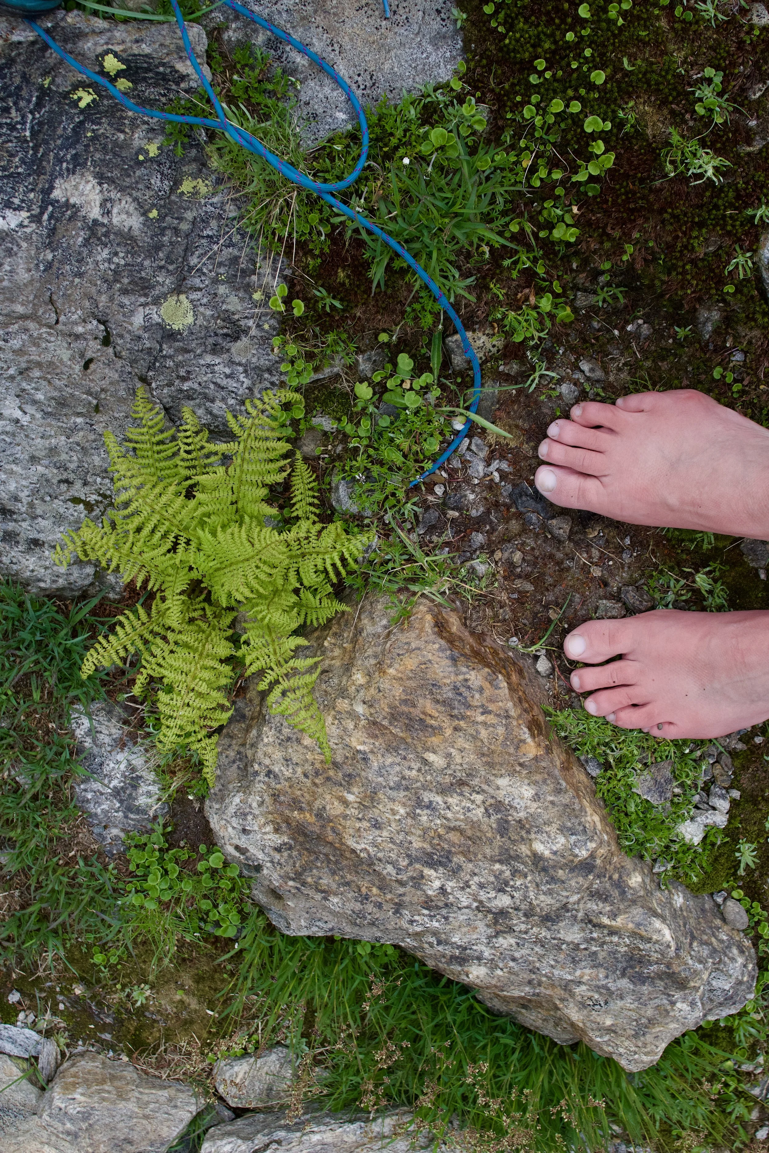 Nackte Füße stehen auf felsigem Boden mit grünen Pflanzen und einer blauen Schnur