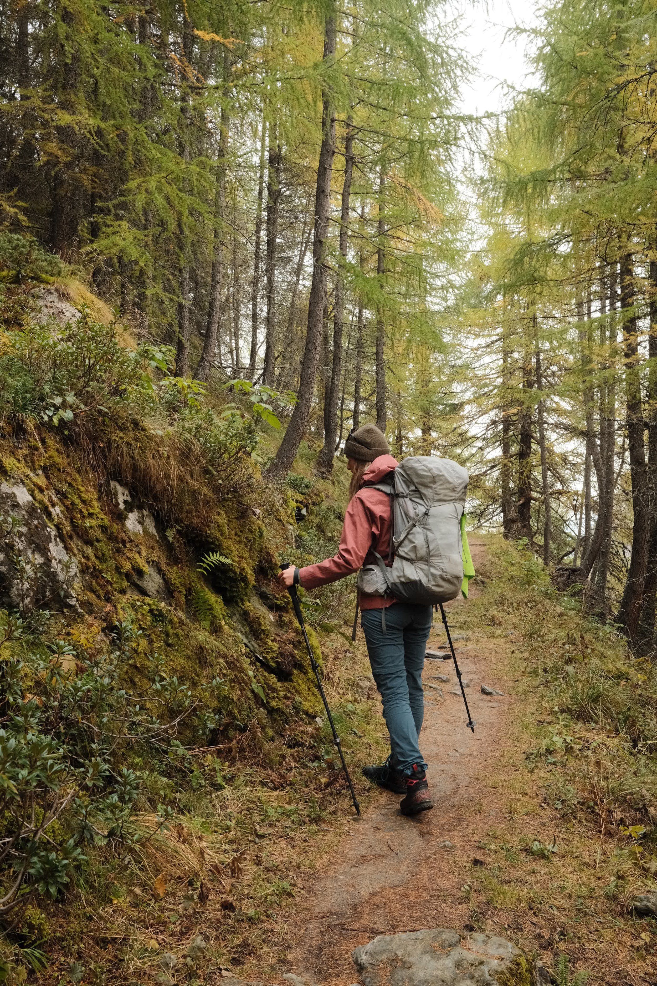 Person beim Wandern auf einem Waldweg mit Rucksack und Wanderstöcken.