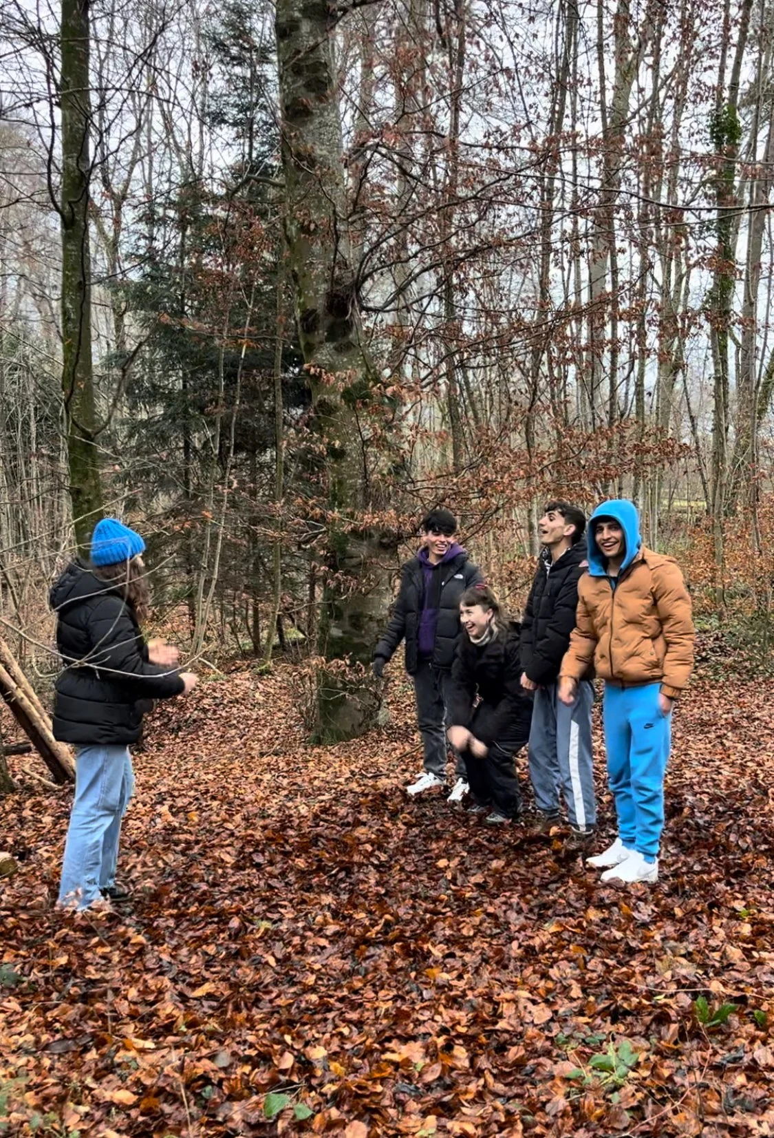 Eine Gruppe von fünf jungen Menschen im Herbstwald, lachend und scherzend, mit bunten Jacken und Mützen, vor einem großen Baum.